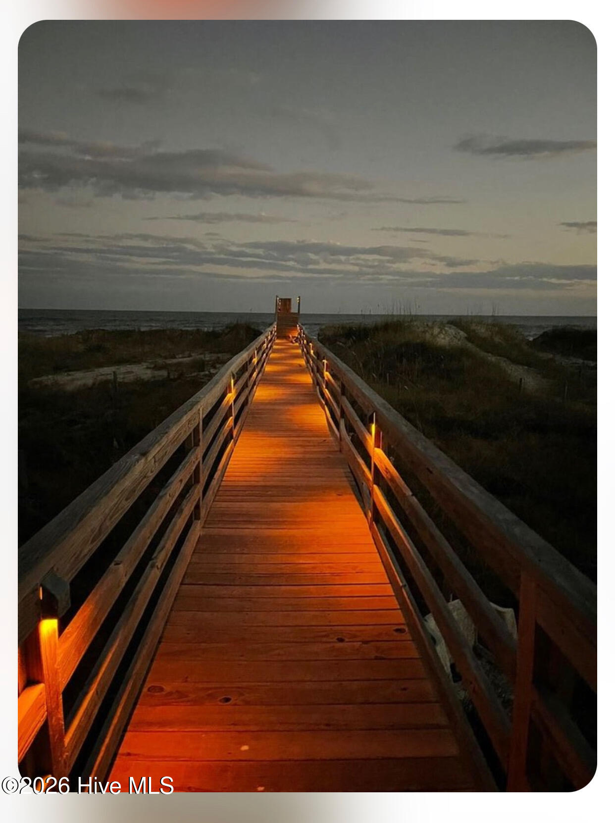 100558393 | Photo 44