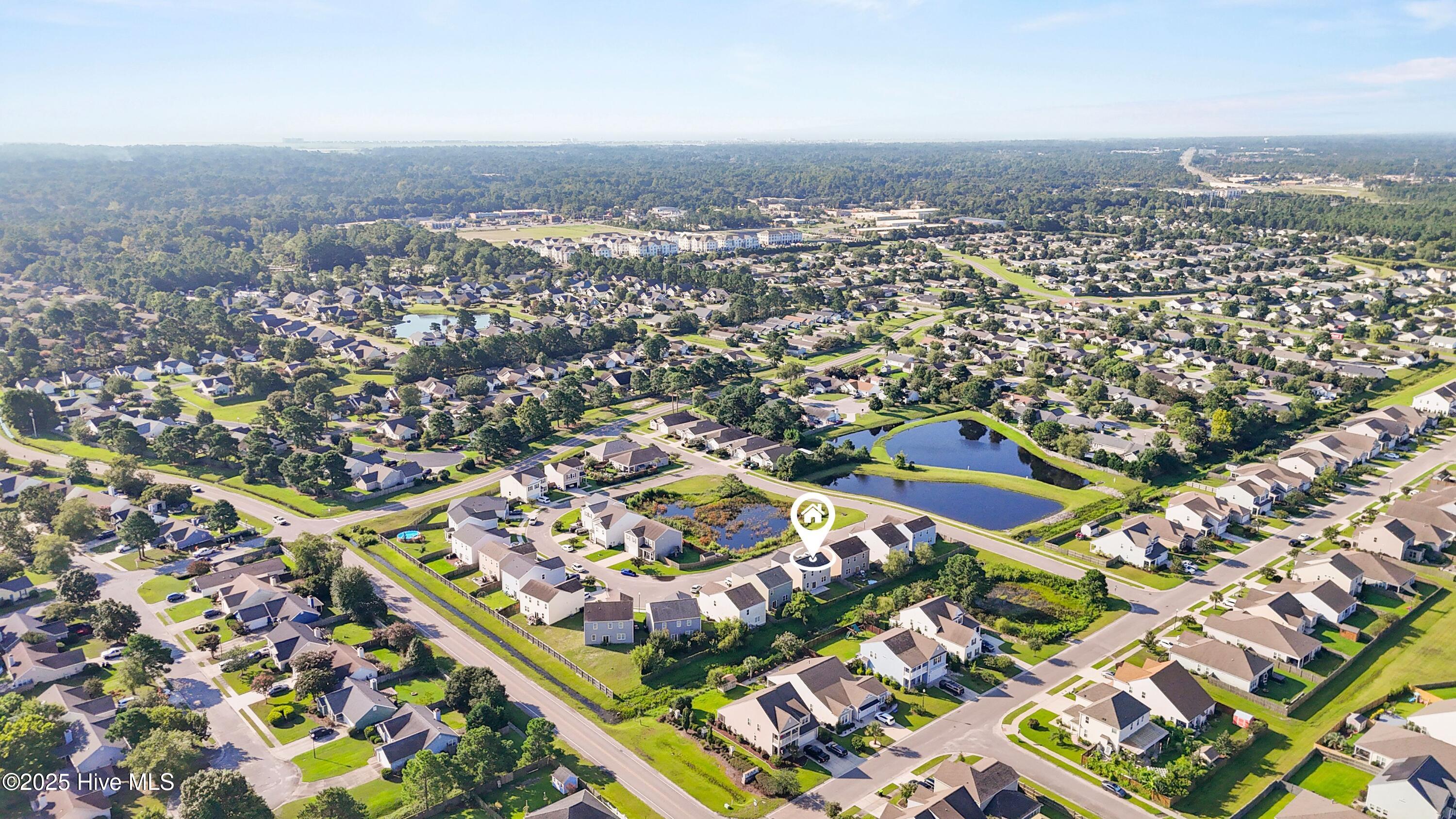 100525996 | Photo 38