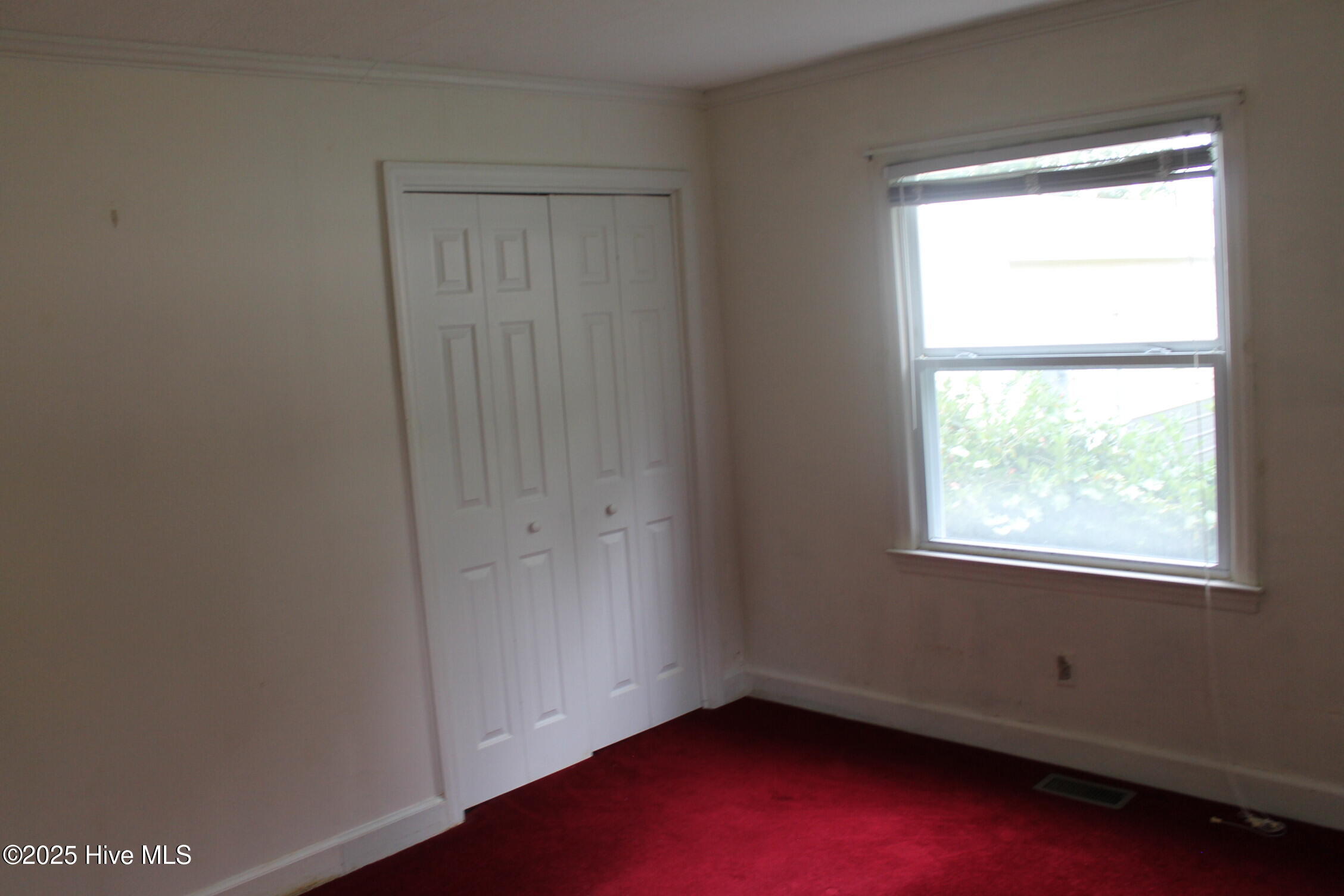 100535737 | Photo 24