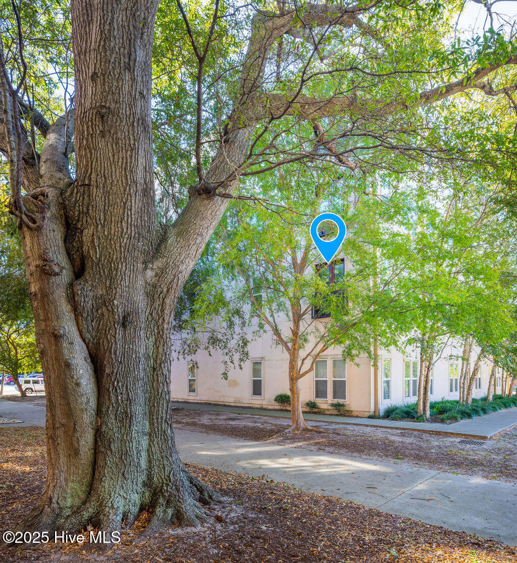 100523571 | Photo 13