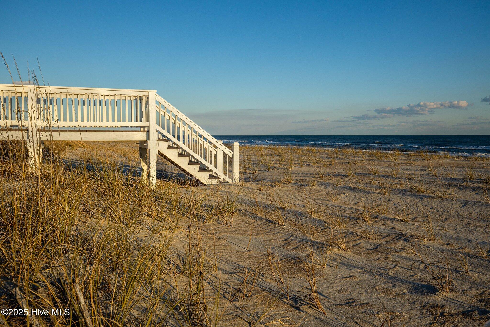 100558130 | Photo 73