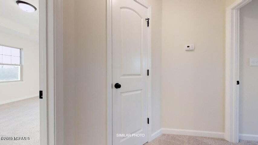 100523554 | Photo 56