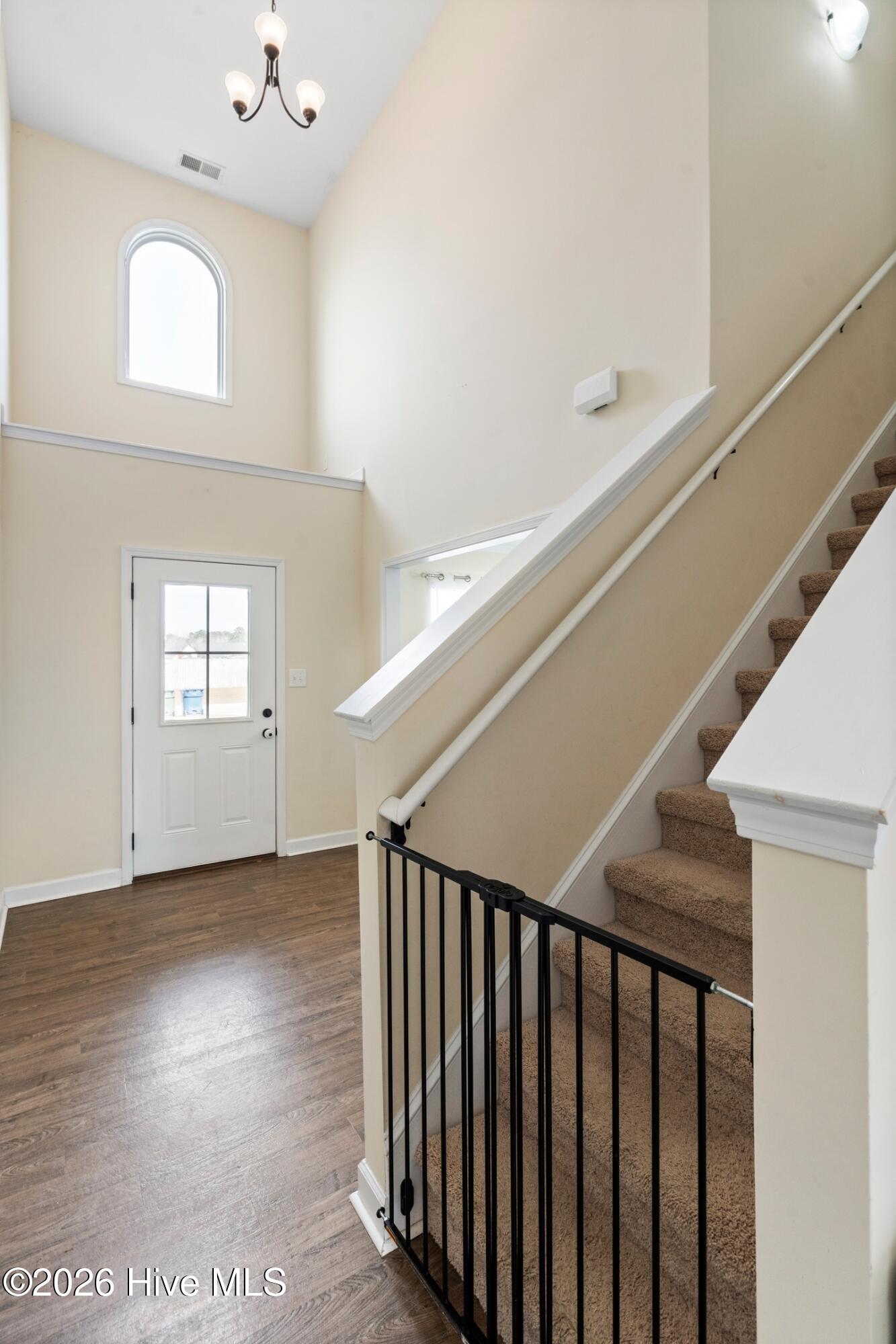 100548782 | Photo 23