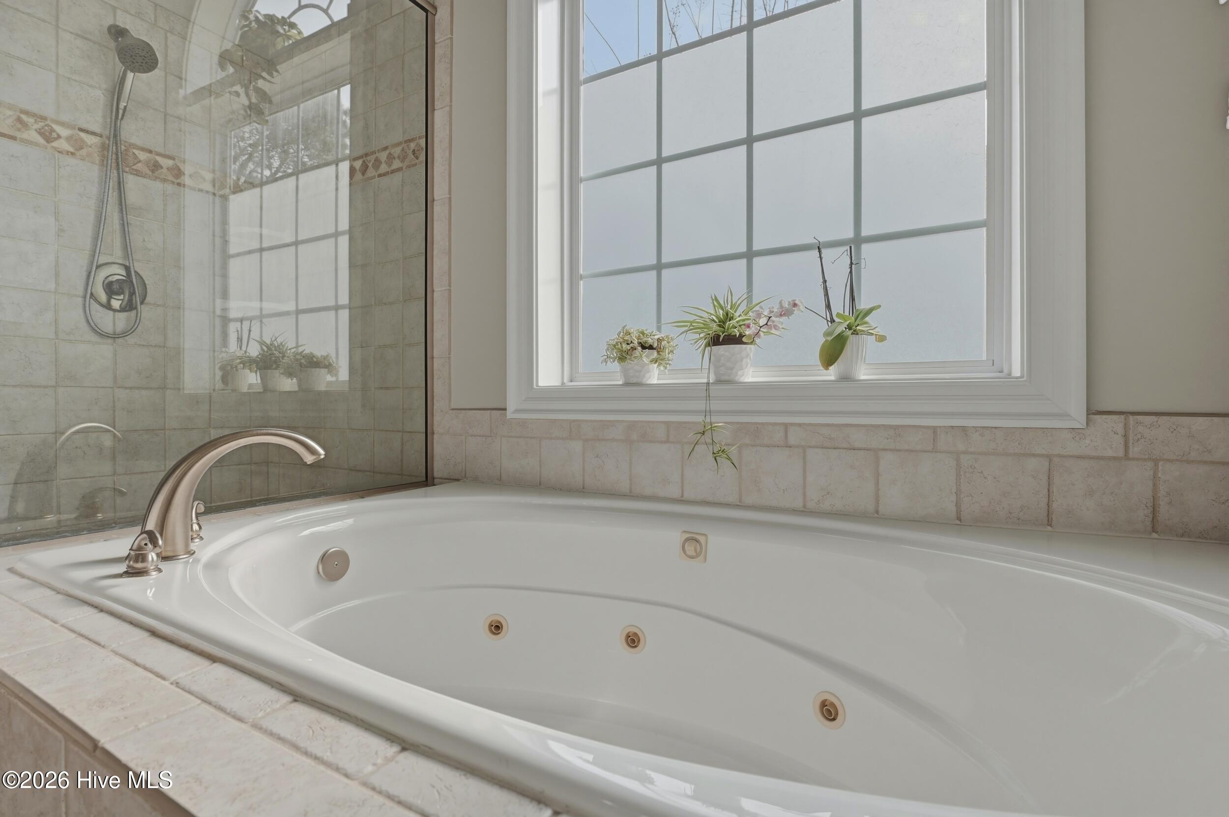 100556453 | Photo 22