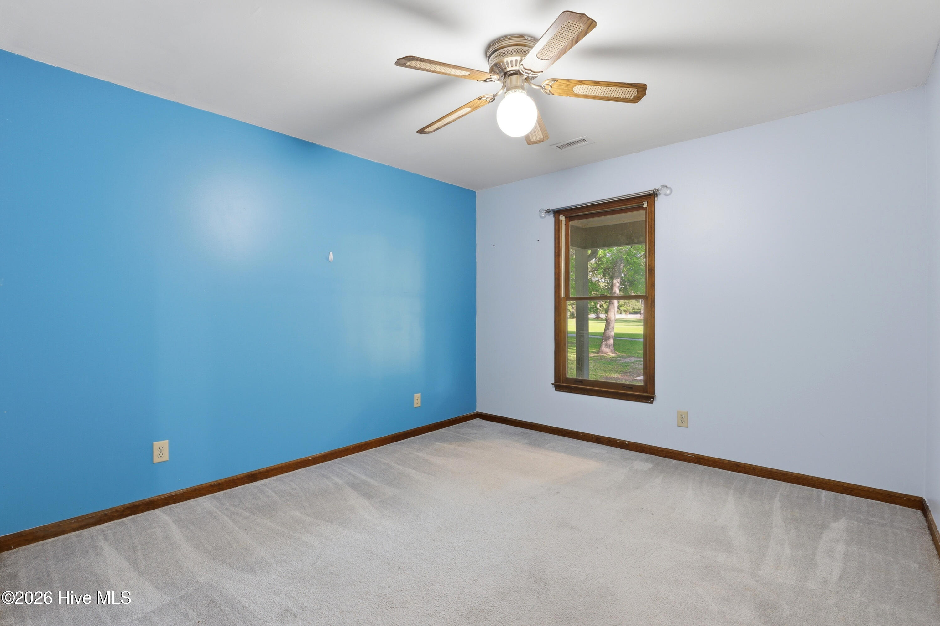 100569494 | Photo 40