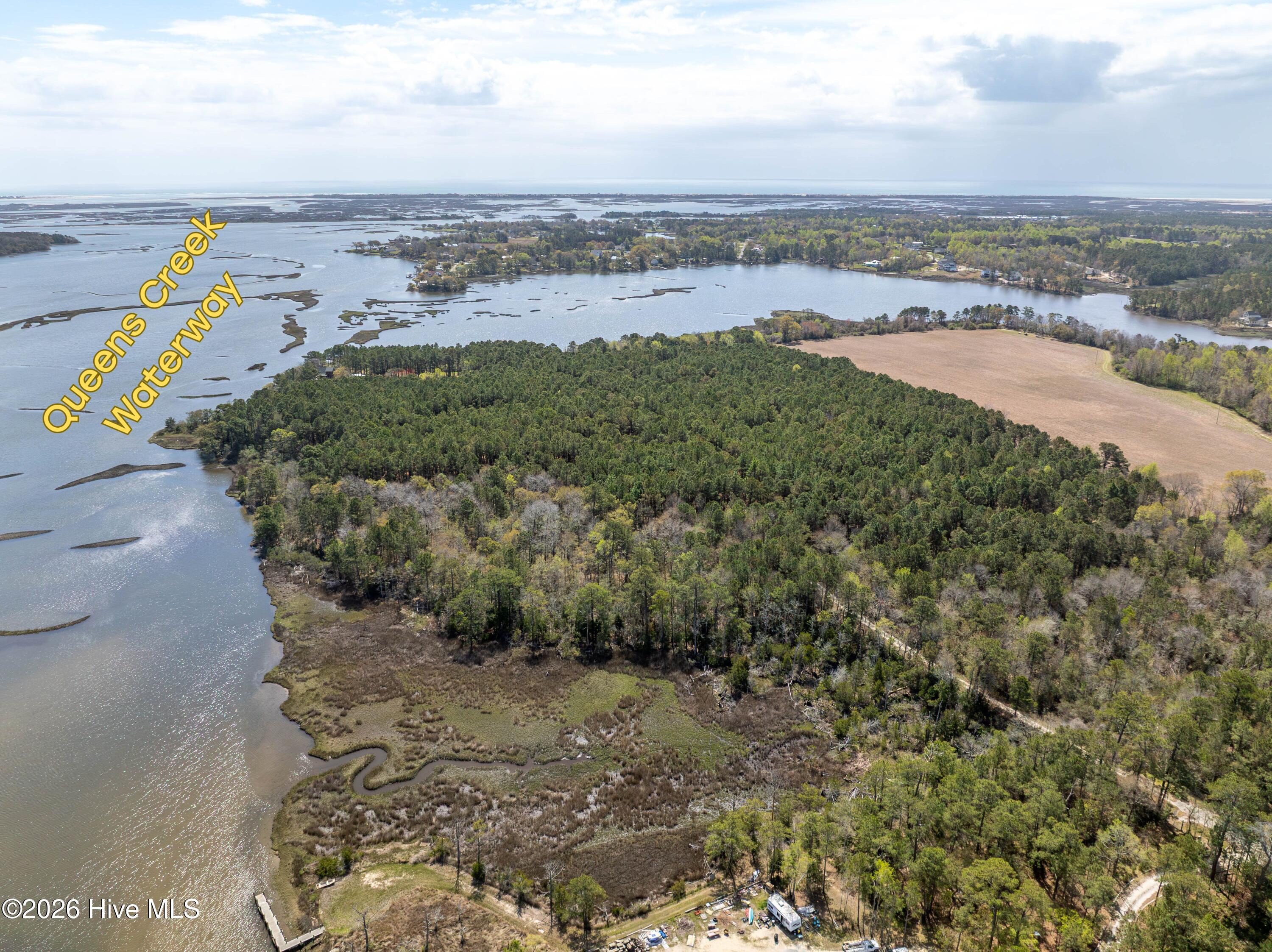 100564032 | Photo 11