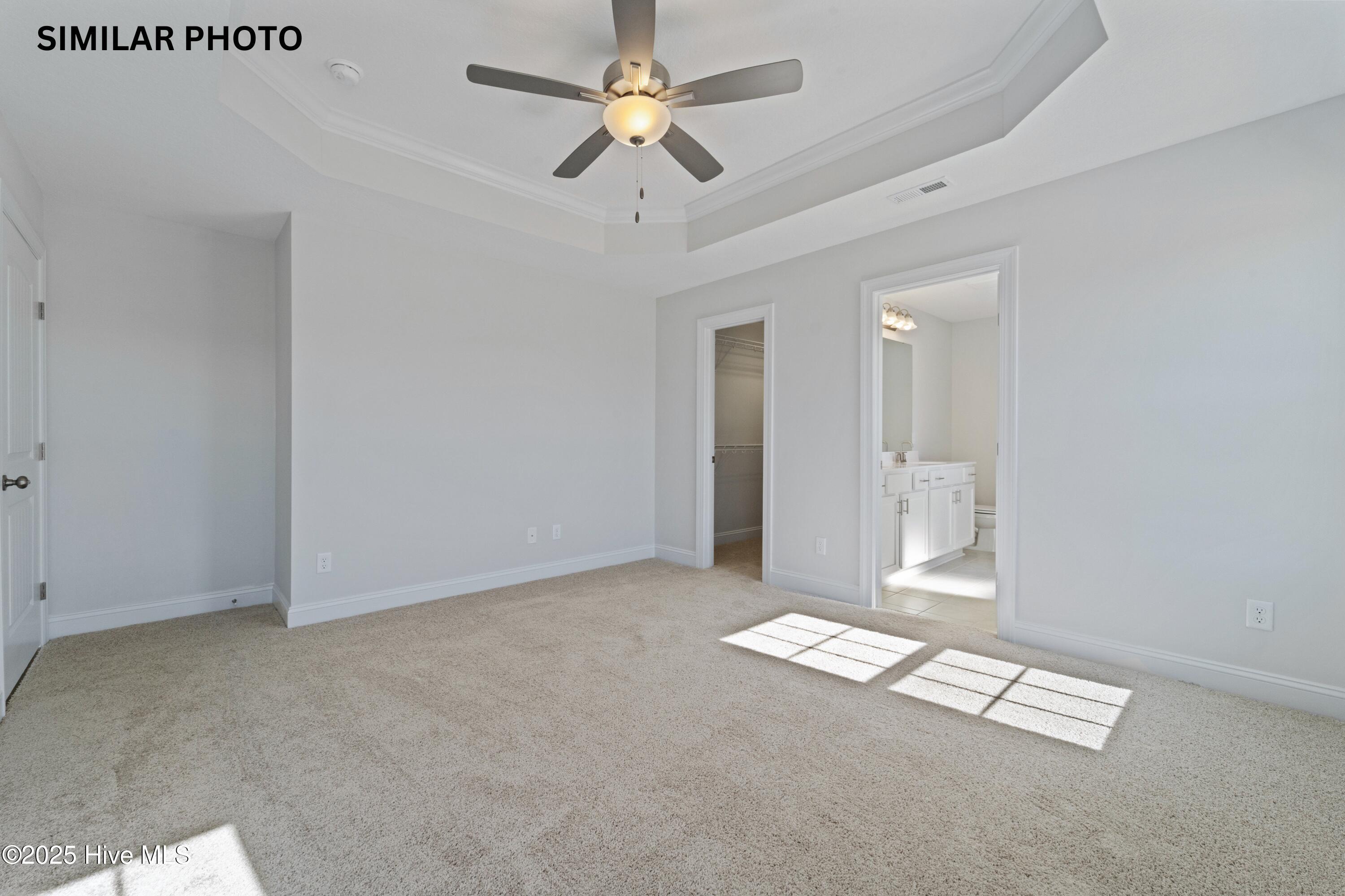 100536083 | Photo 19