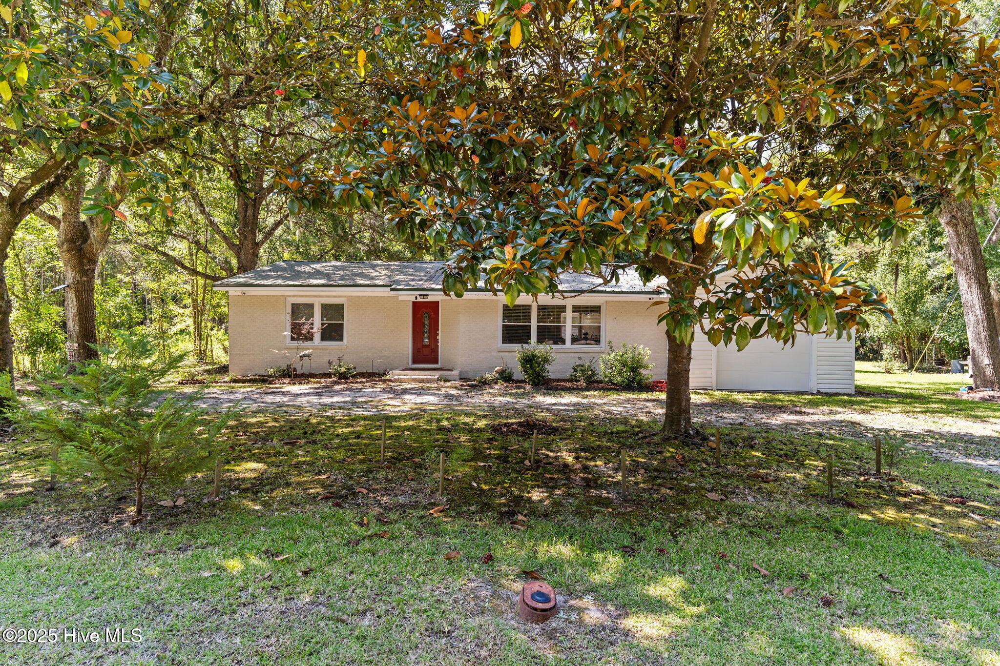 100530137 | Photo 31