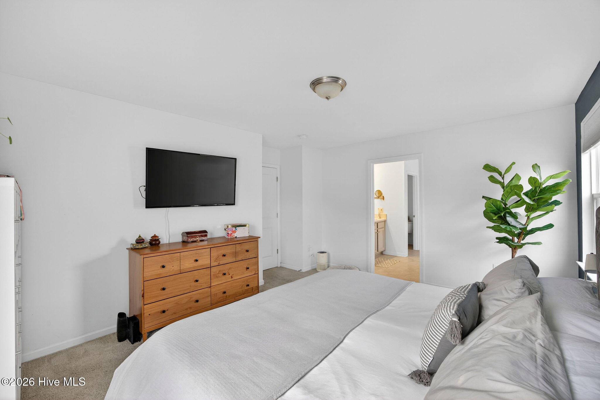 100562313 | Photo 30