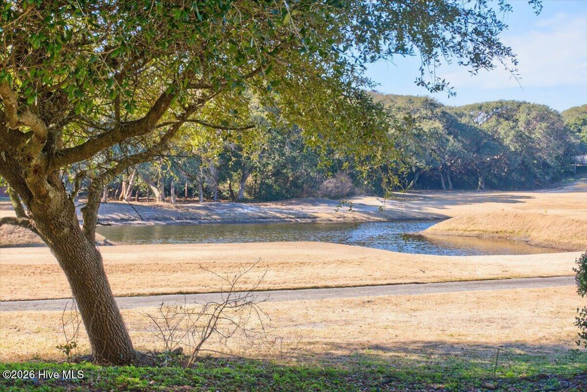 100551155 | Photo 73