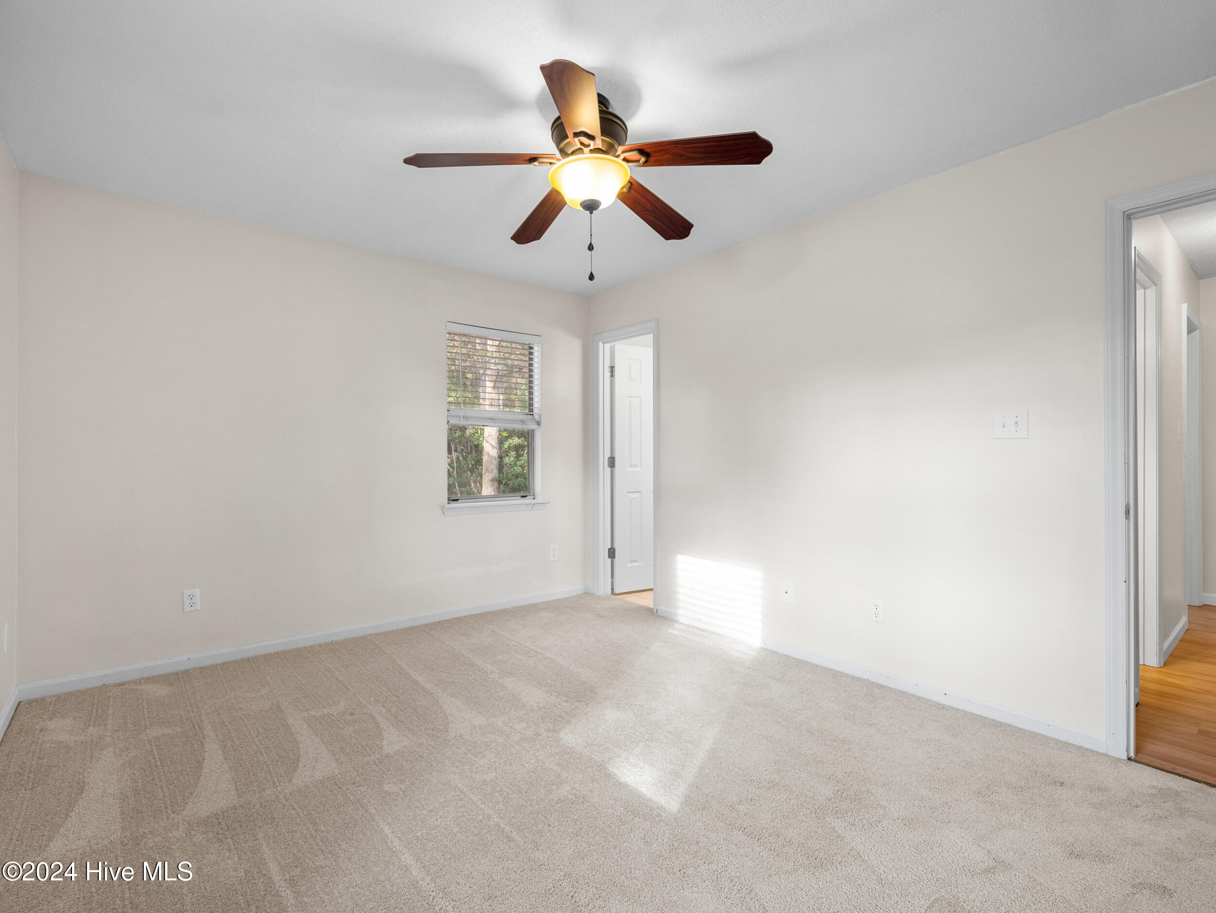 100558588 | Photo 17