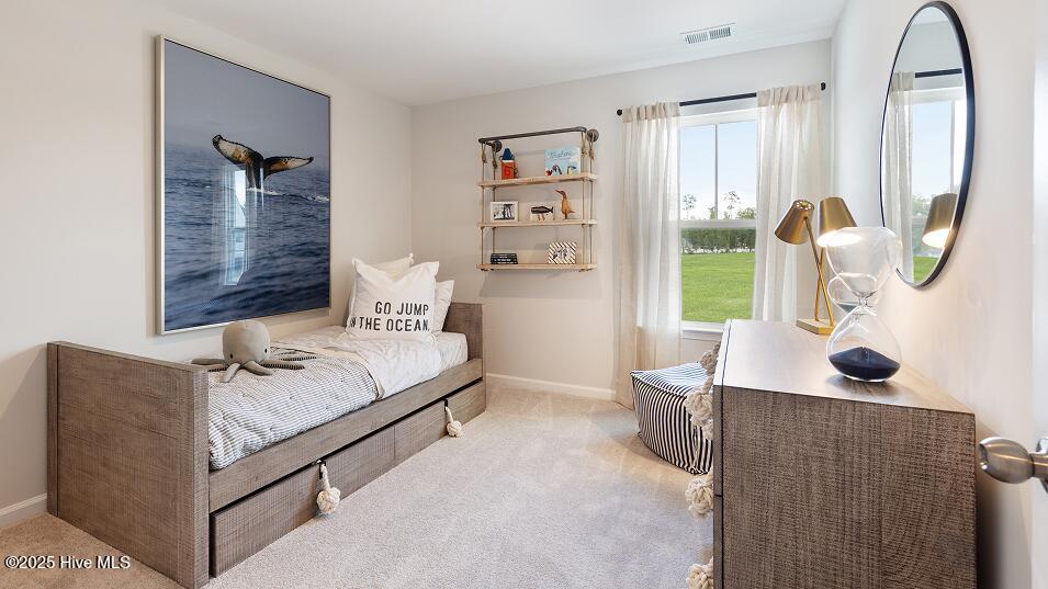 100546945 | Photo 12