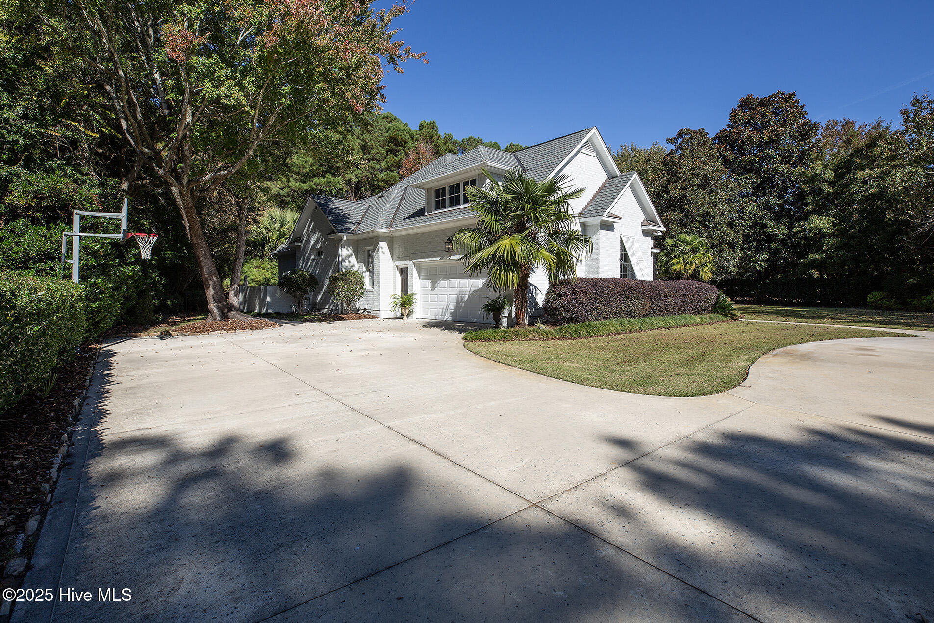 100541349 | Photo 66