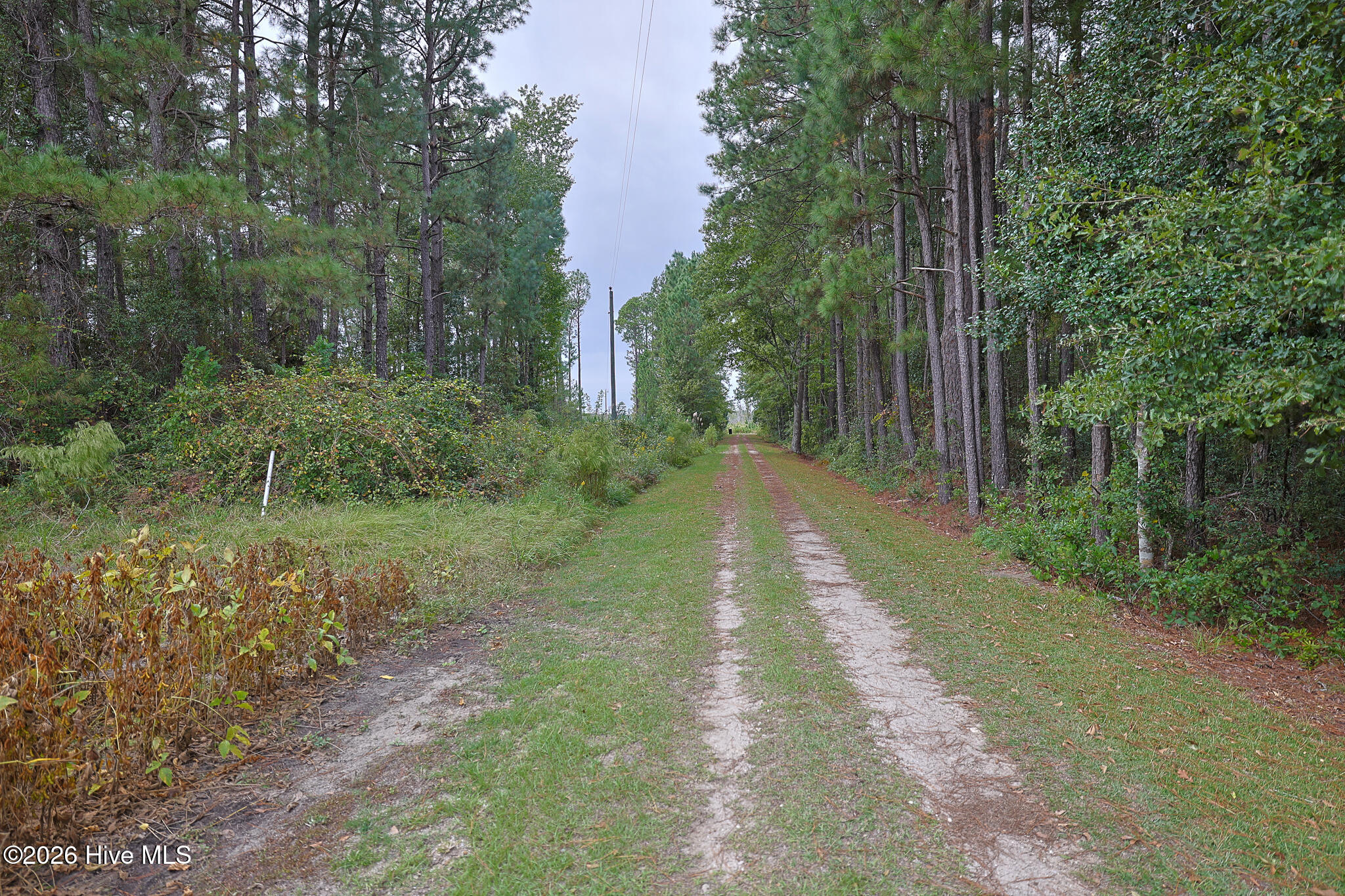 10.57 Ac Egypt Road NW, Ash, NC, 28420