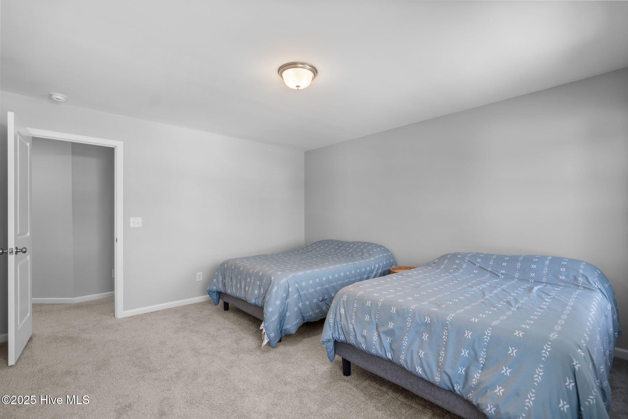 100528737 | Photo 38