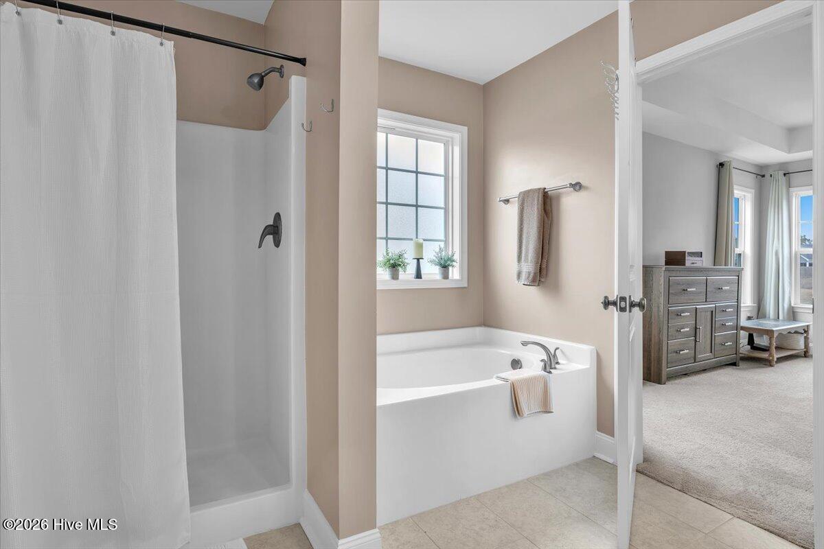 100558740 | Photo 33