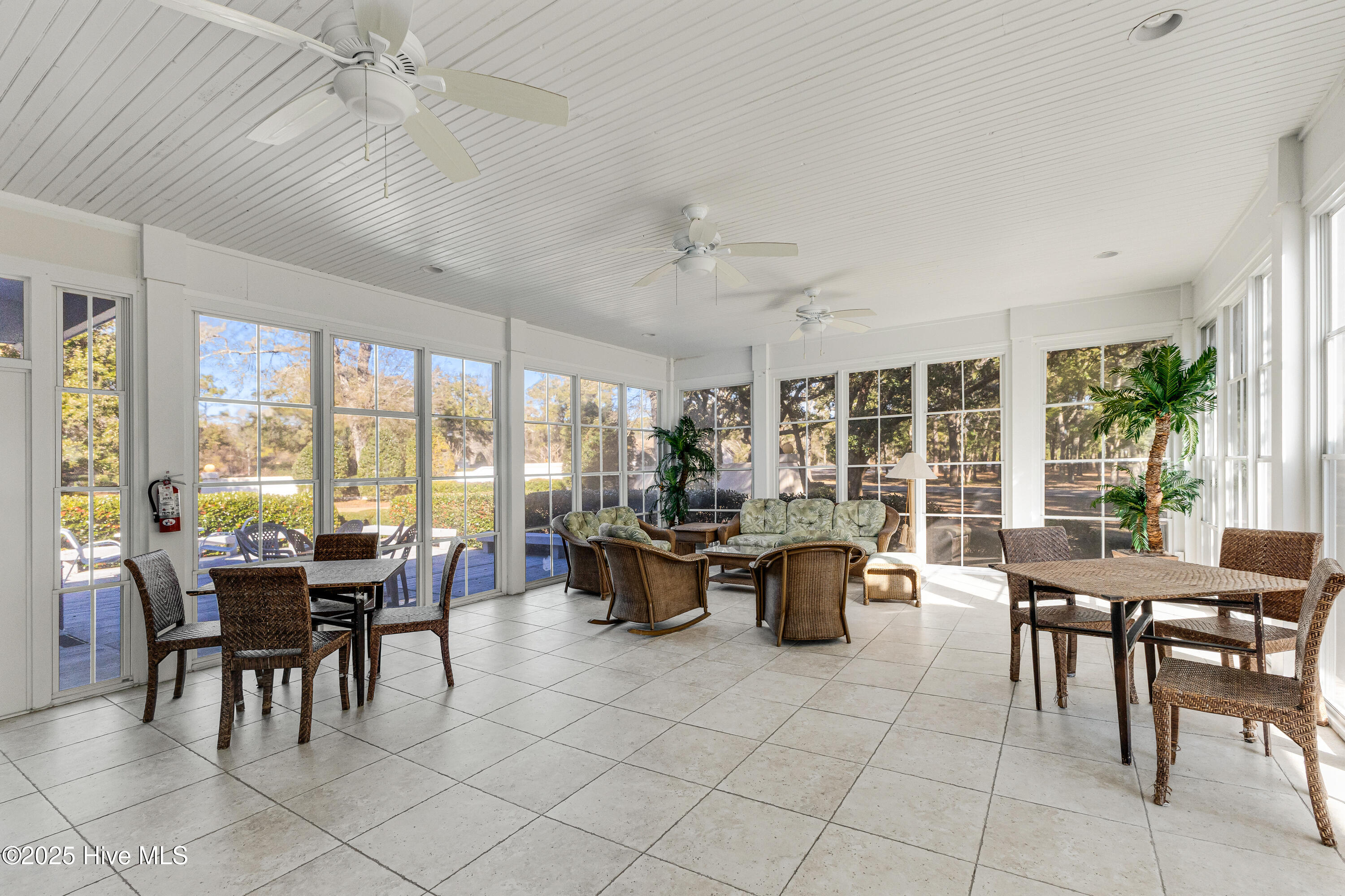 100546687 | Photo 28