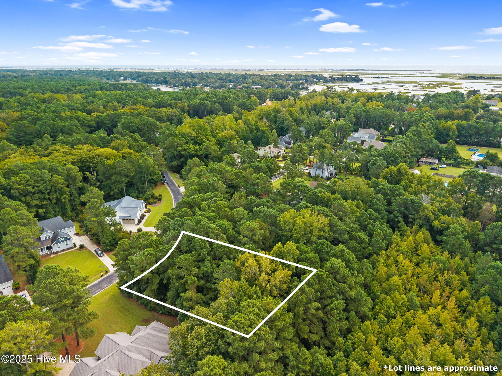 8-web-or-mls-CAMMediaLLC.com eag-9