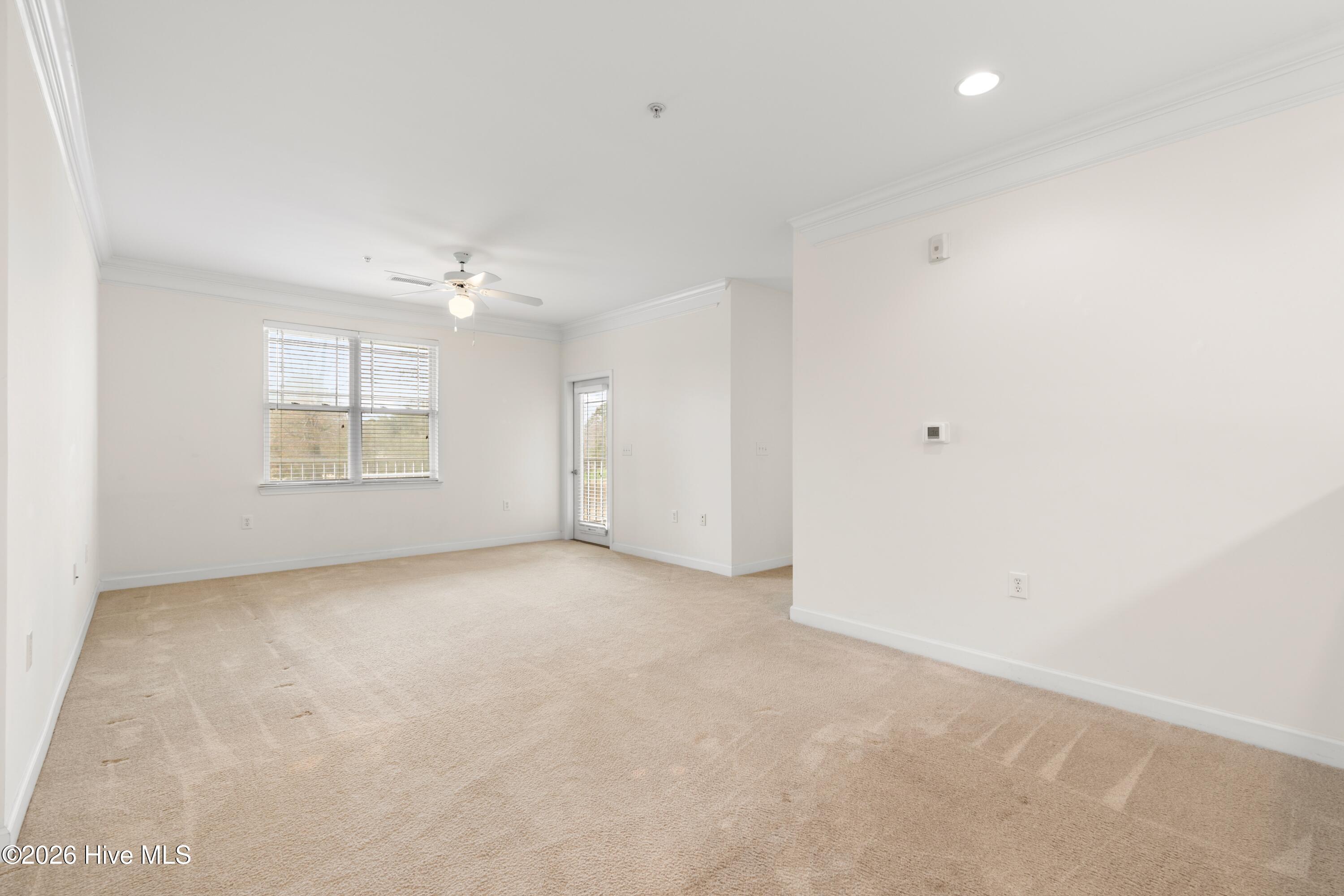 100557008 | Photo 12