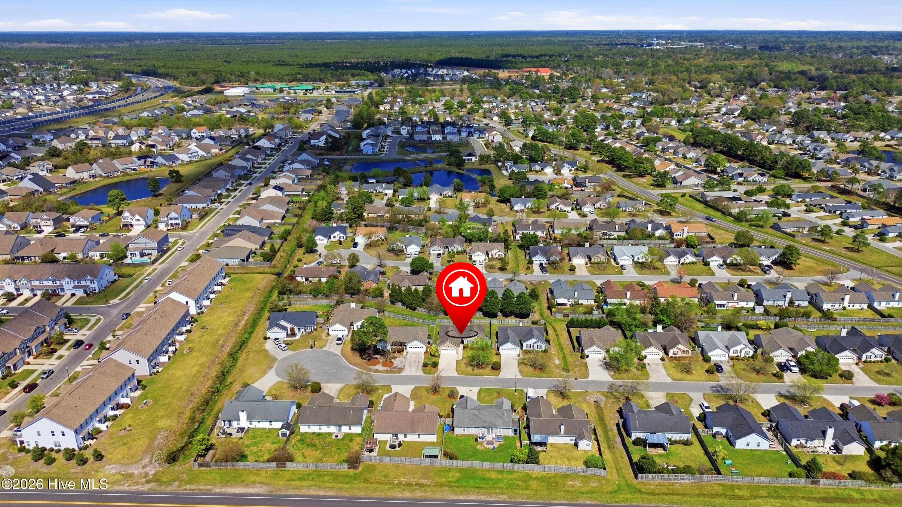 100564031 | Photo 38