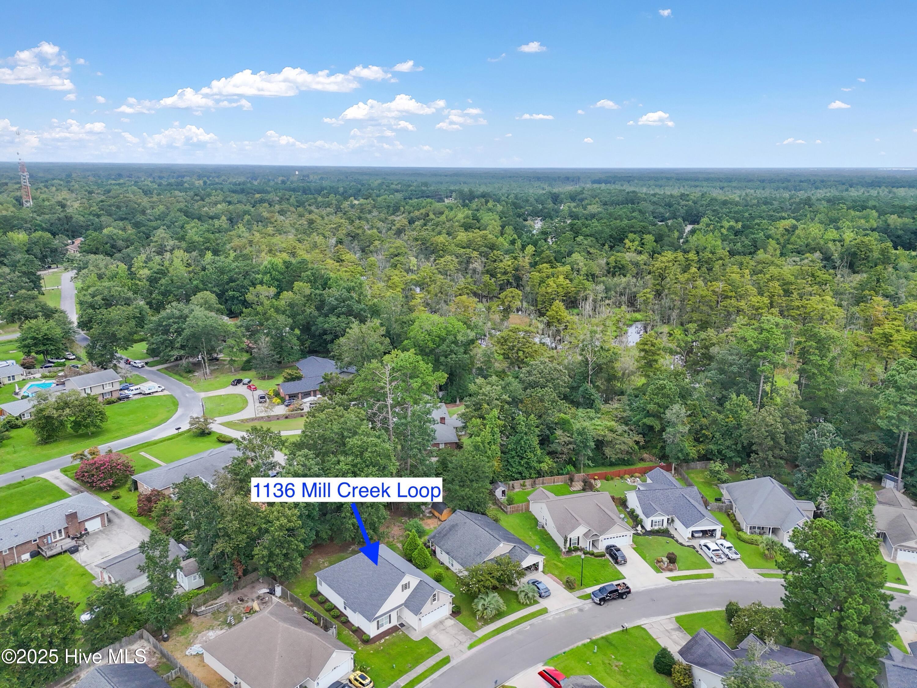 100527568 | Photo 37