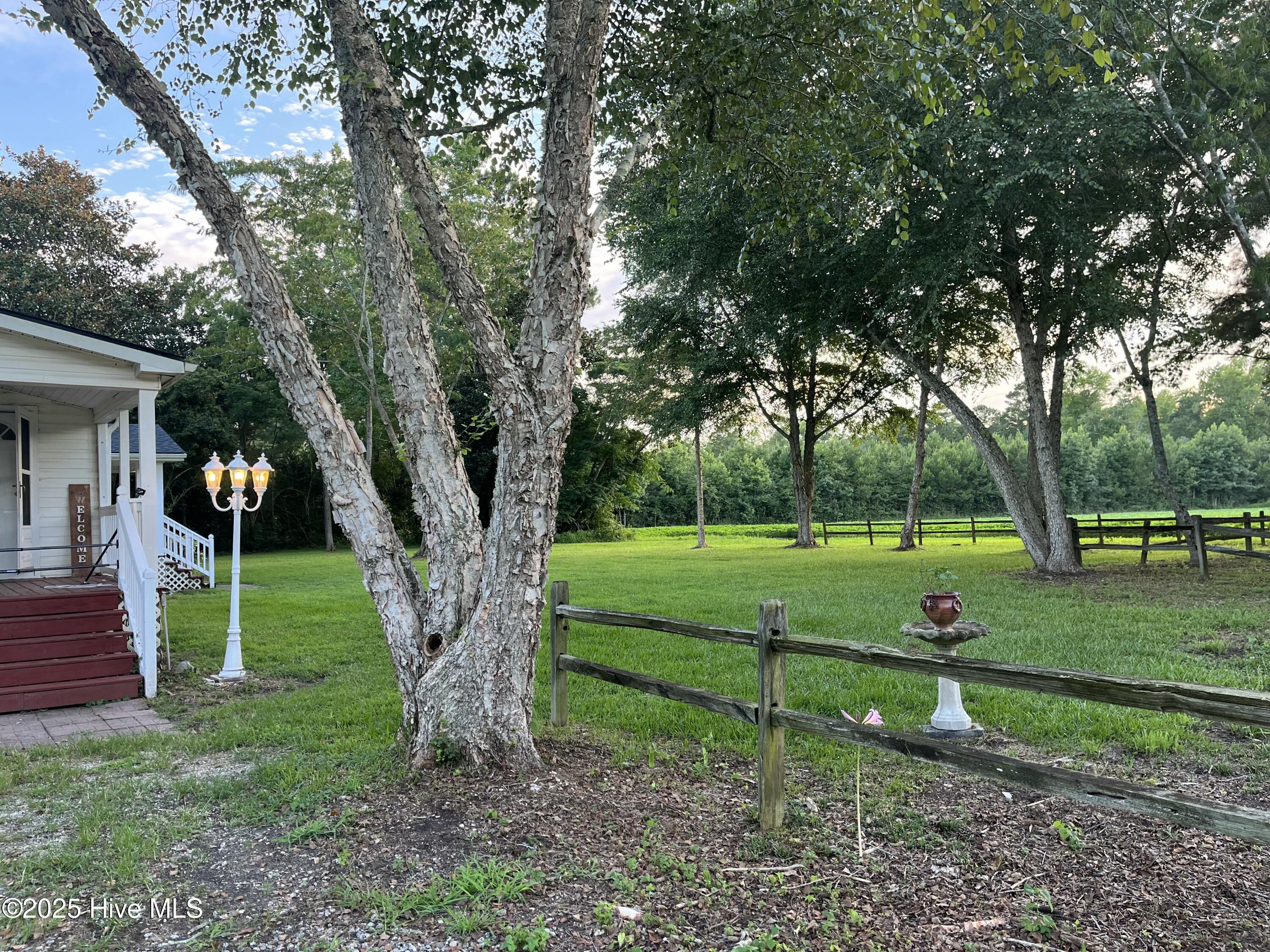 100539839 | Photo 43