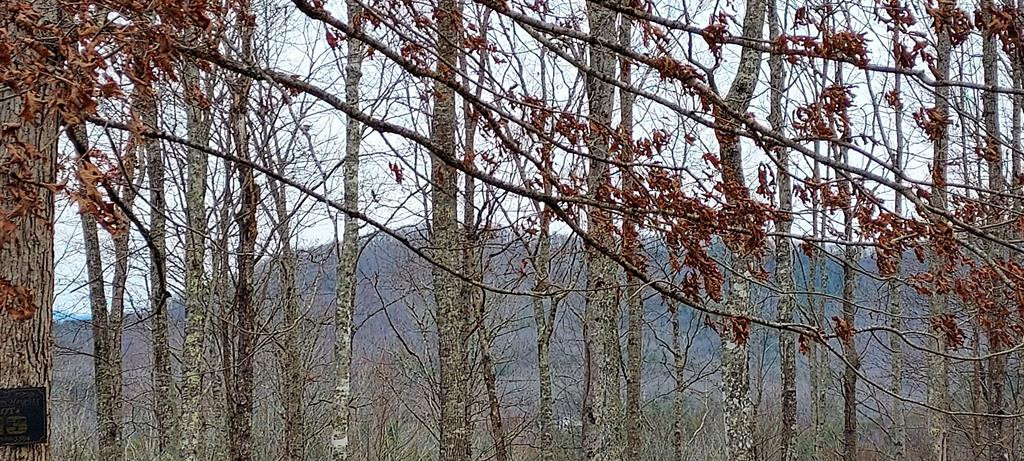 Exterior photo of Lot 10 Trillium Heights, Brasstown, NC 28902. MLS: 98543791