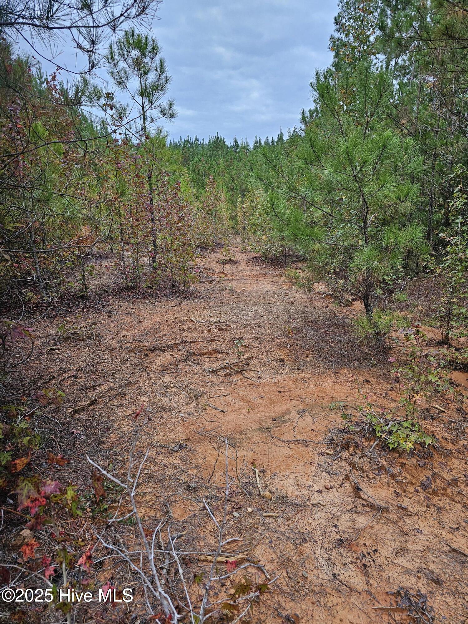 0 Carbonton Road, Sanford, NC, 27330