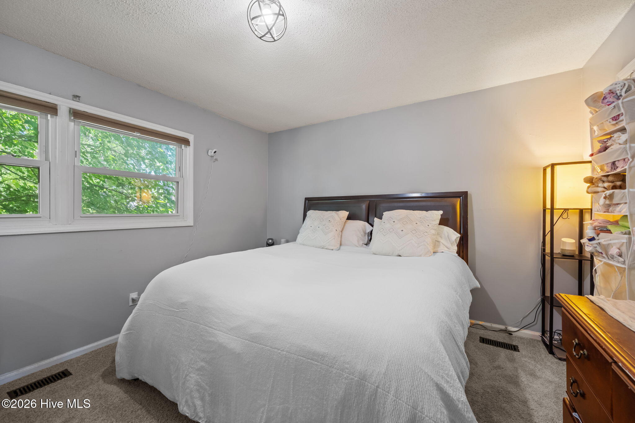 100569028 | Photo 32