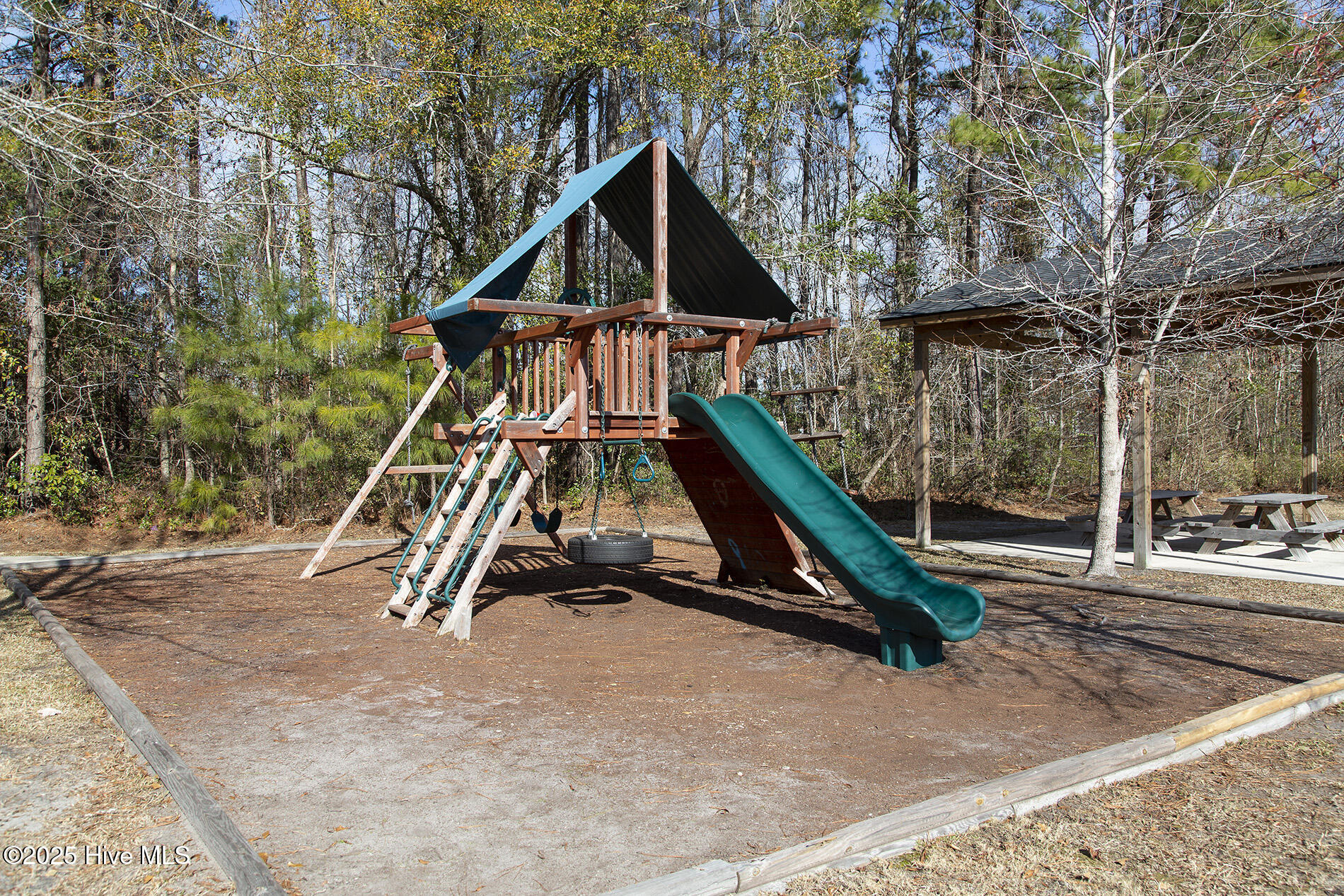 100526047 | Photo 40