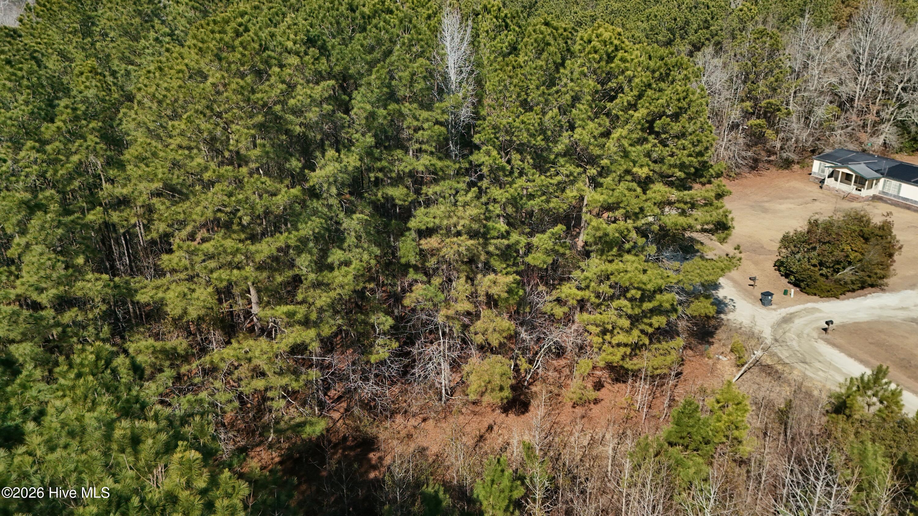 100554571 | Photo 10