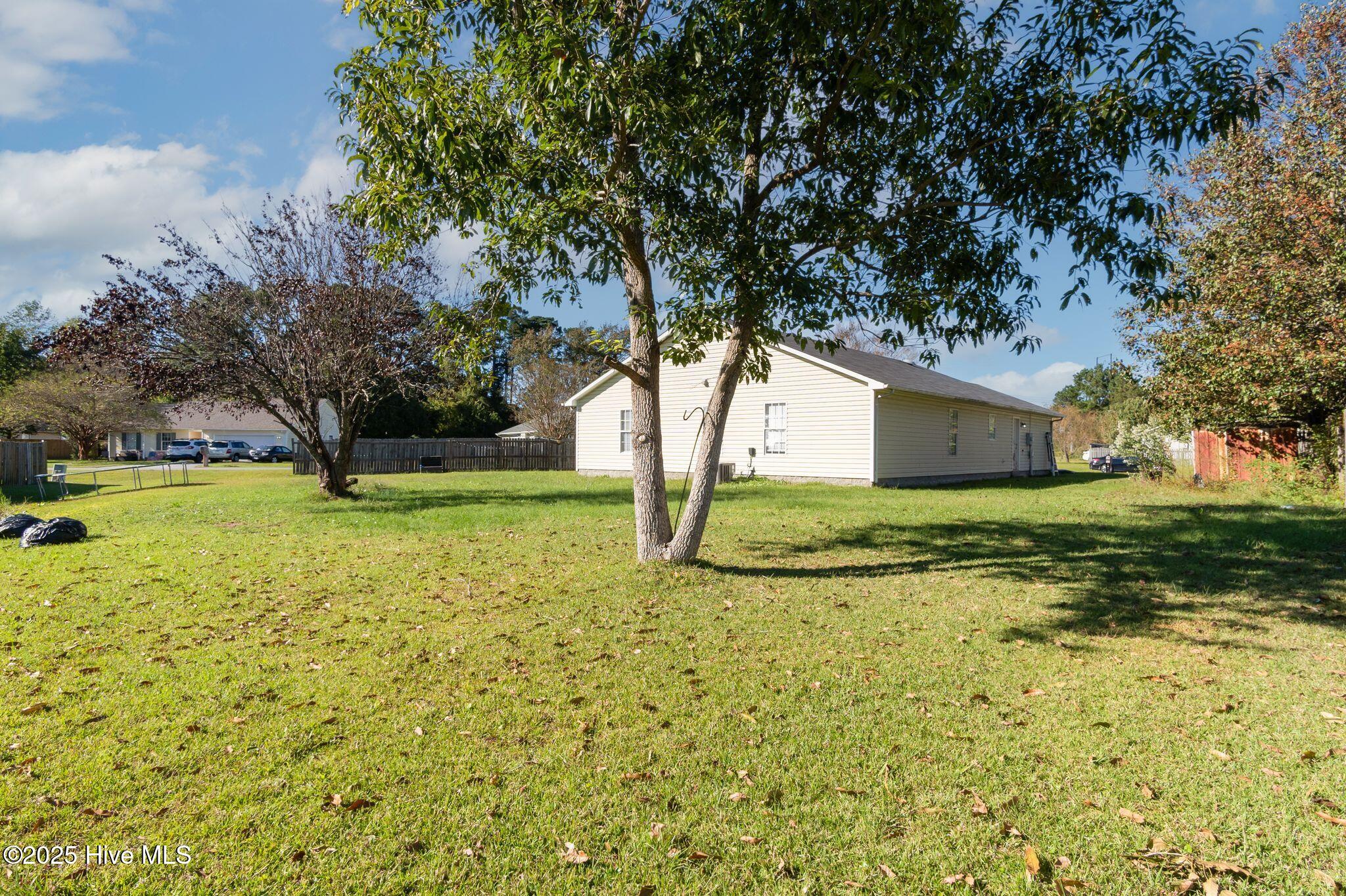 100537602 | Photo 30