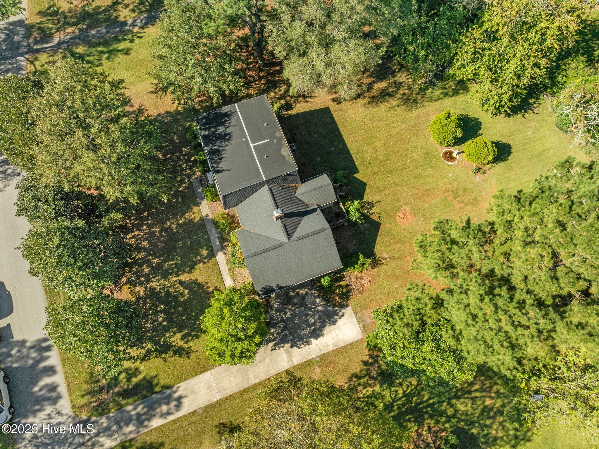 100537375 | Photo 47