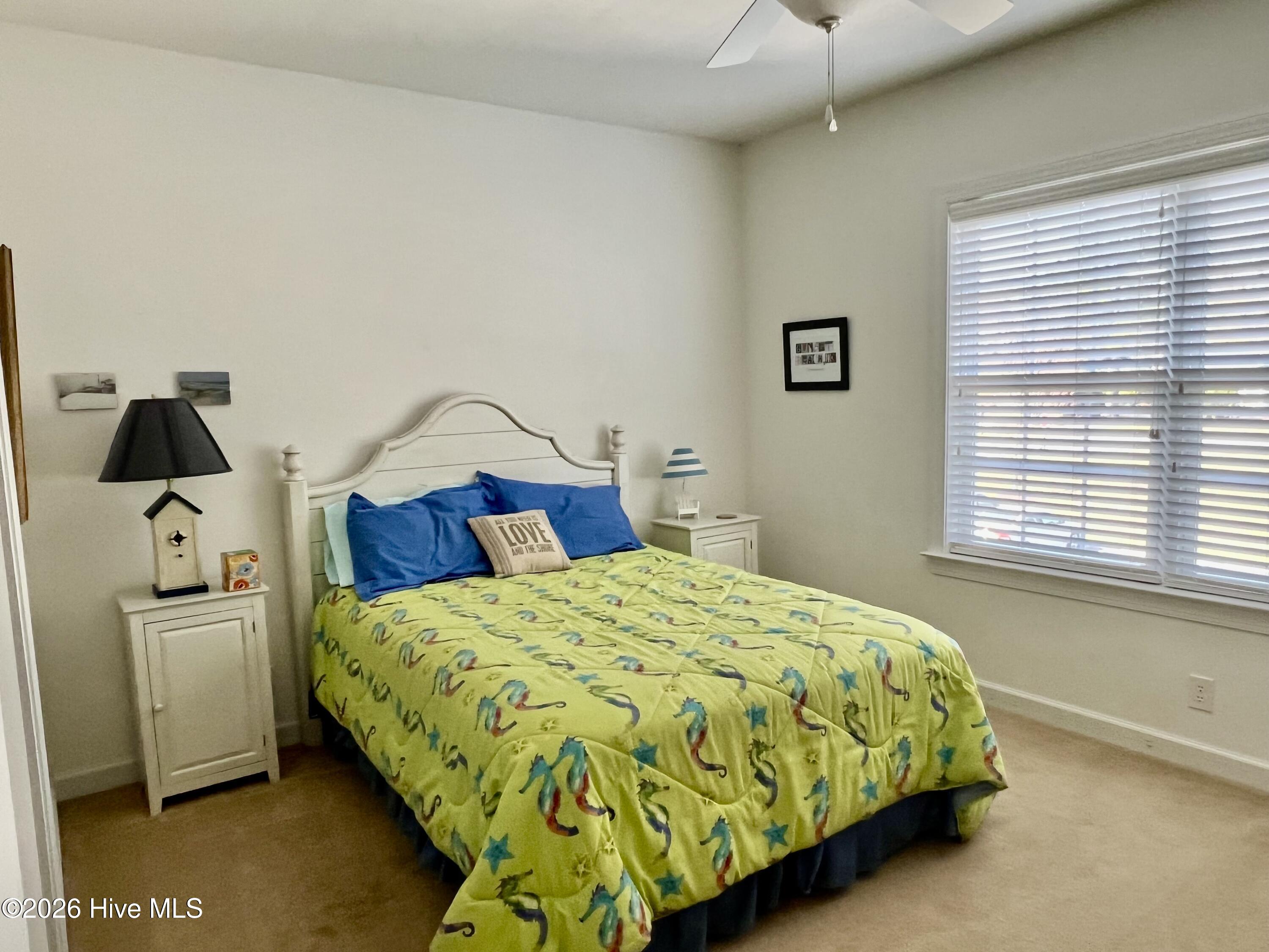 100558877 | Photo 13