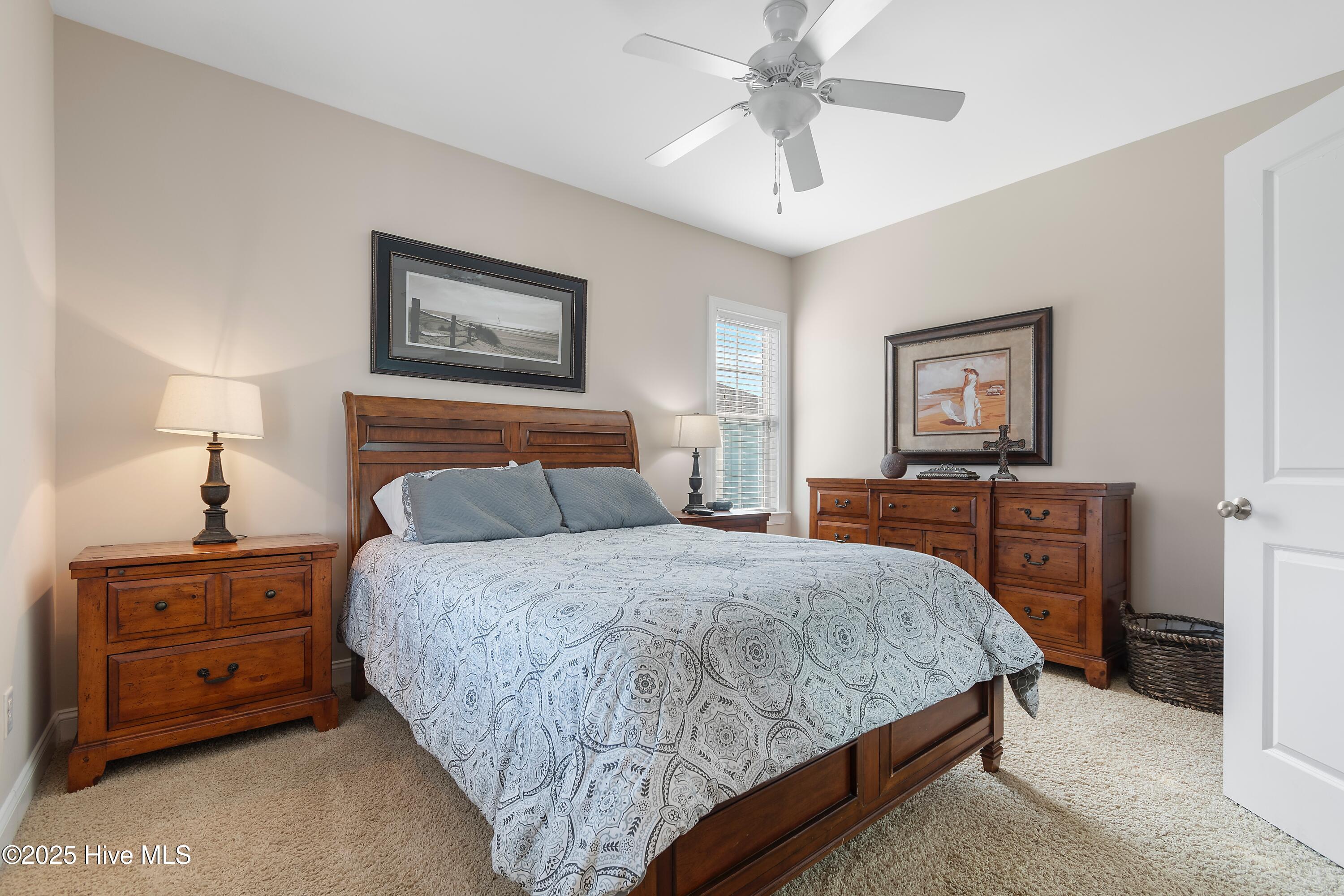 100535231 | Photo 61