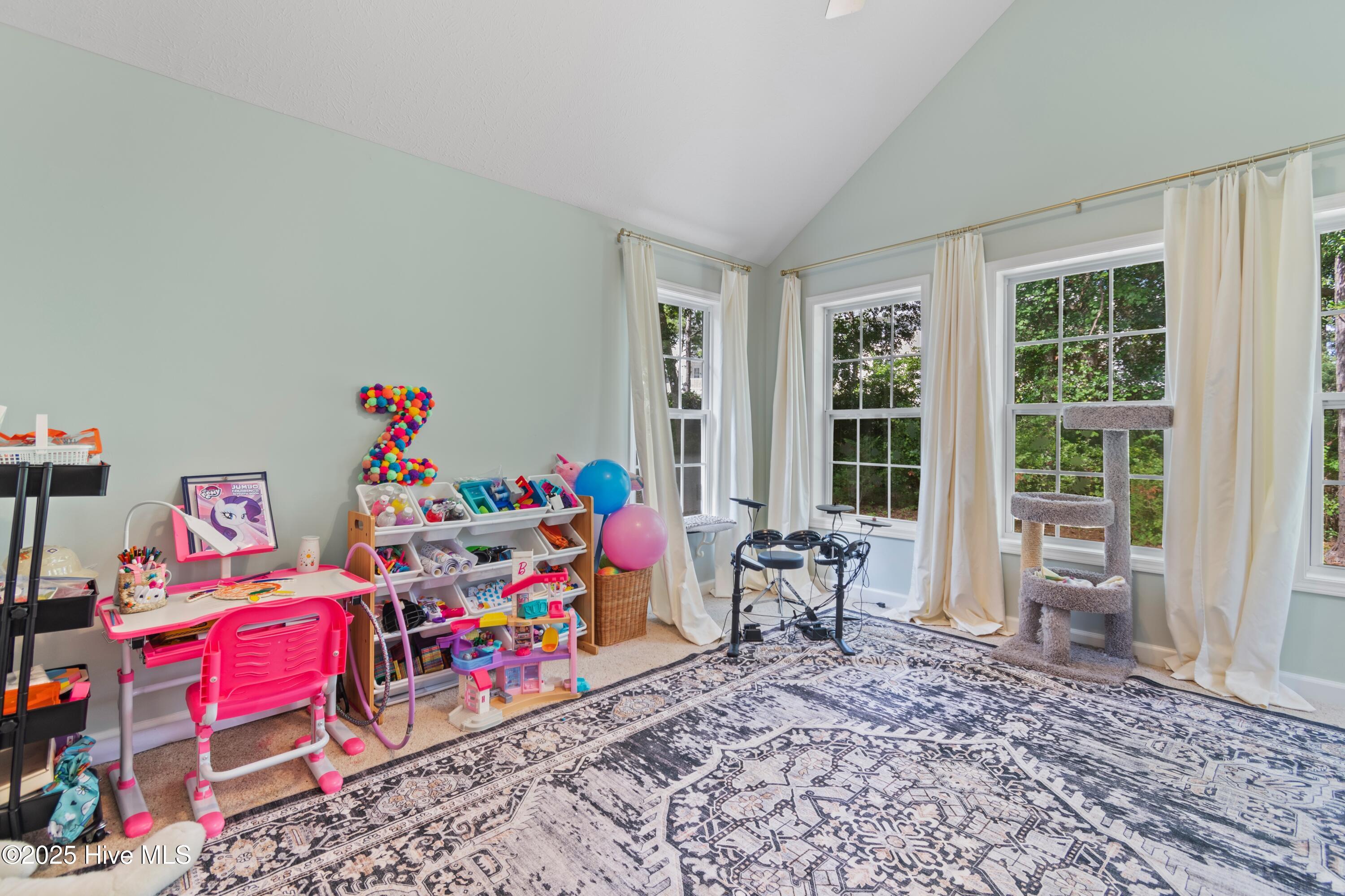 100517176 | Photo 25