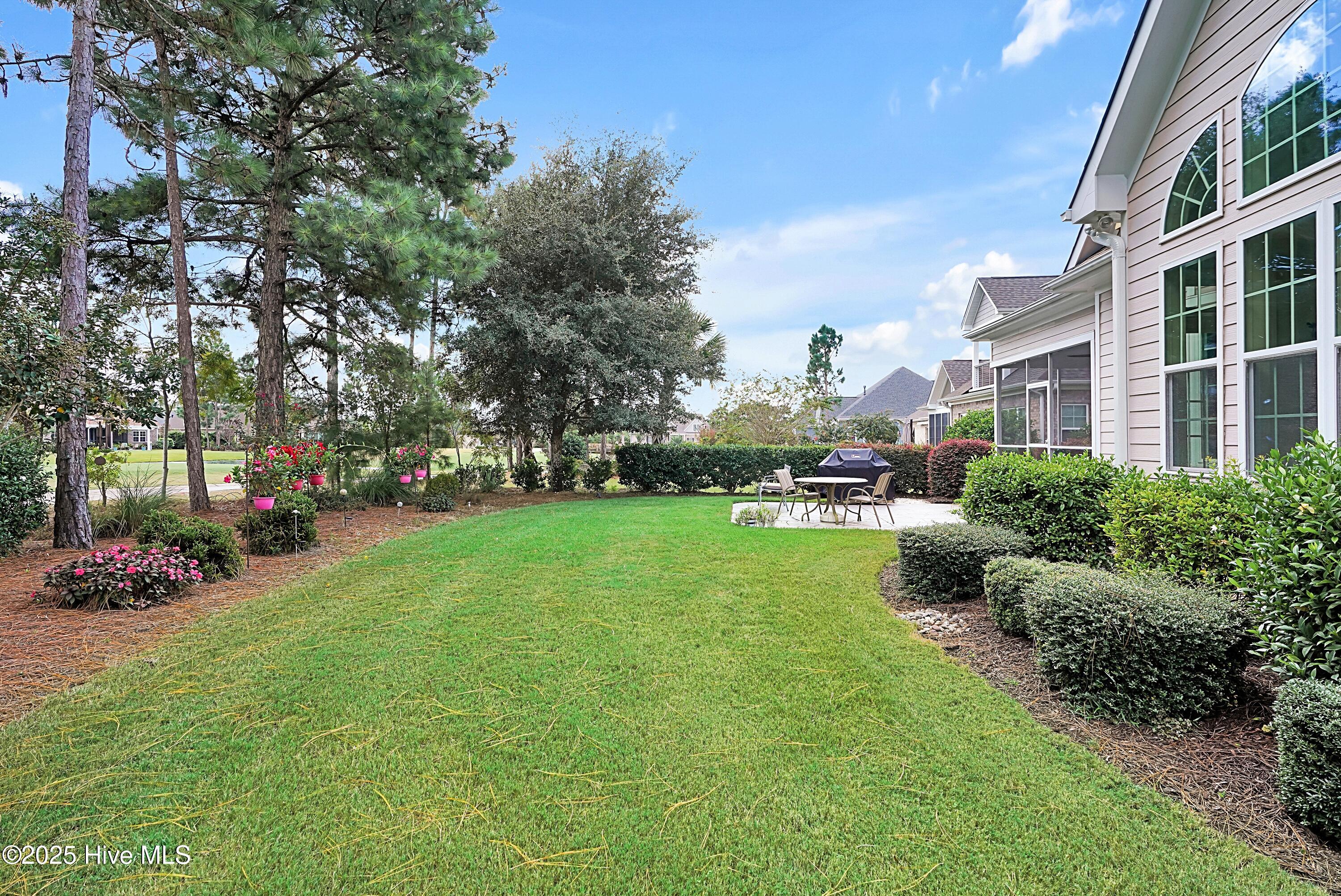 100557169 | Photo 48