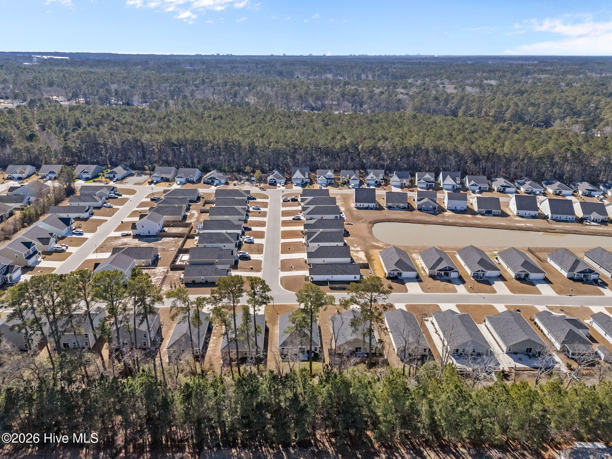 100551774 | Photo 50