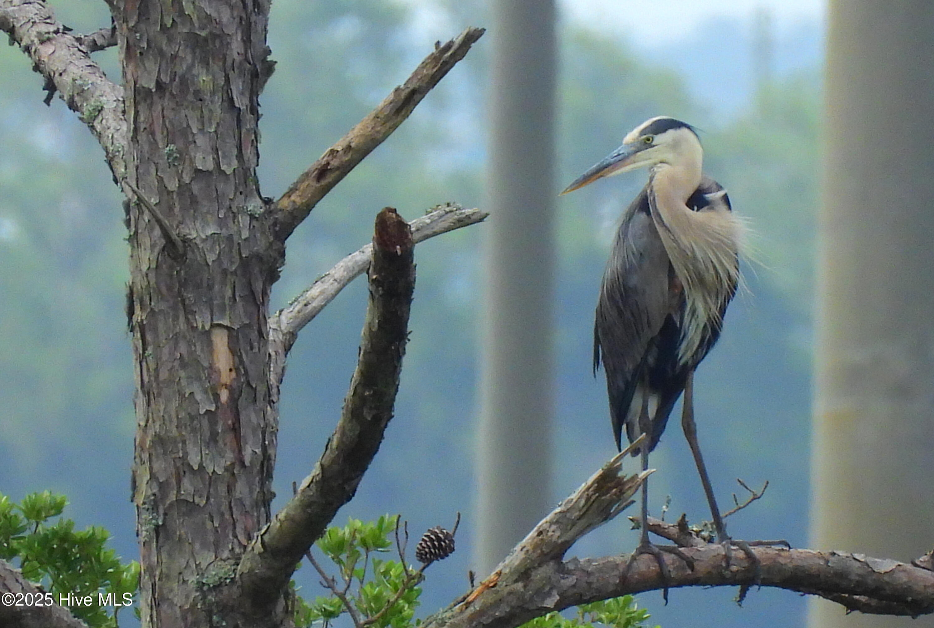 100503609 | Photo 27