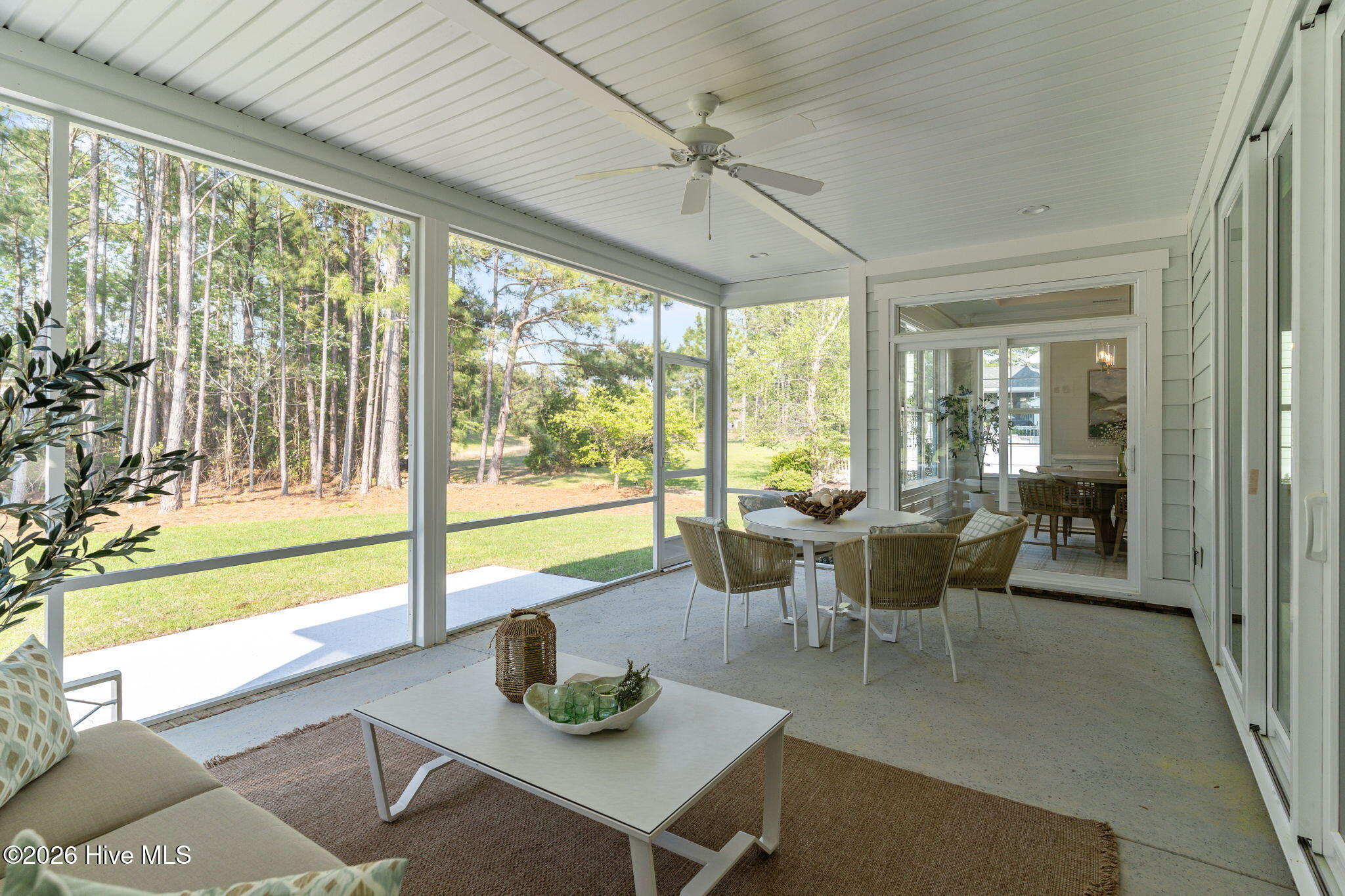 100554681 | Photo 36