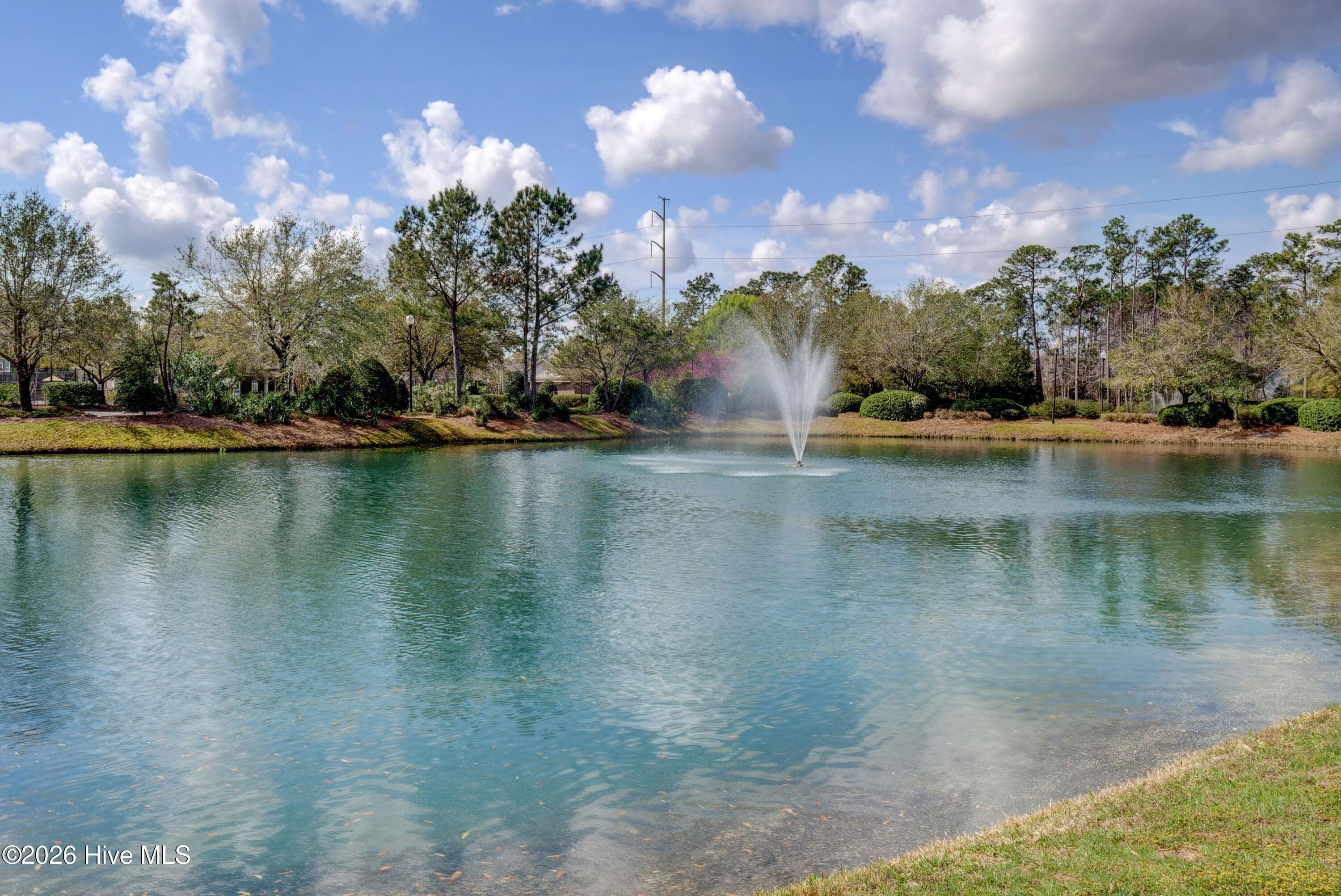 100559758 | Photo 73