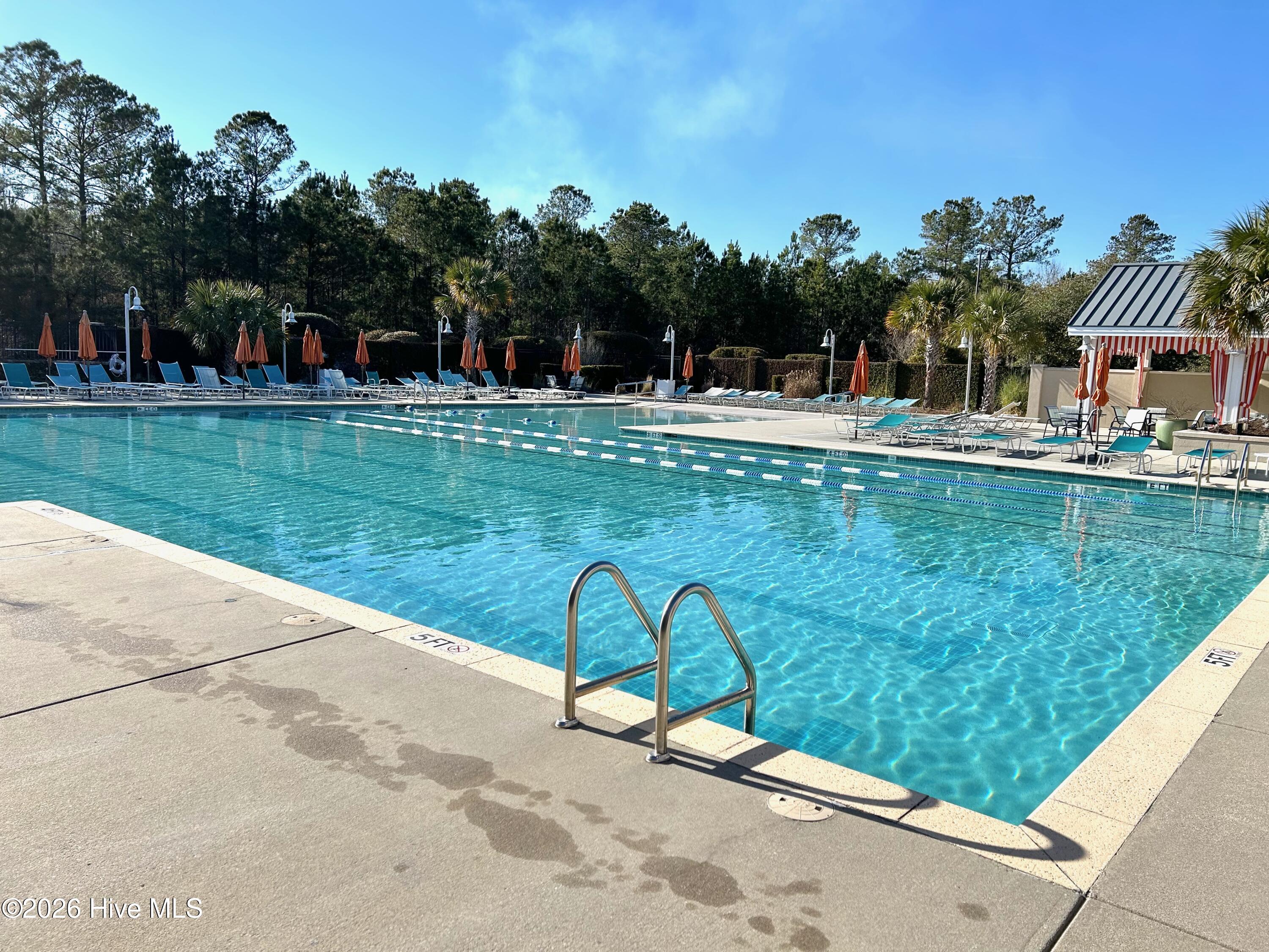 100557593 | Photo 37