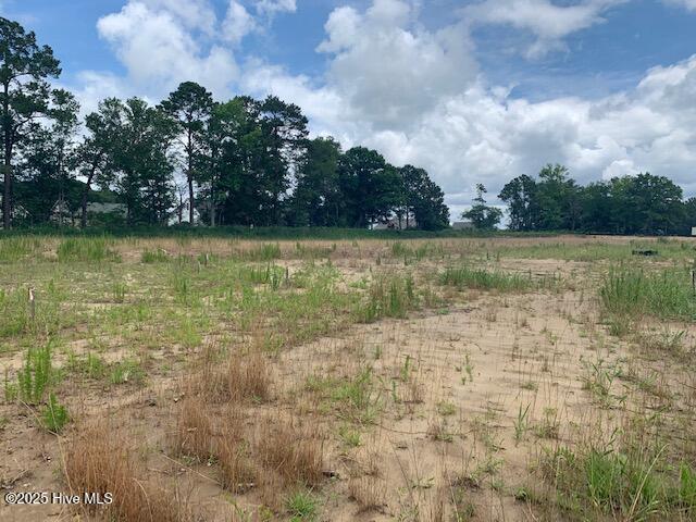 100512196 | Photo 13