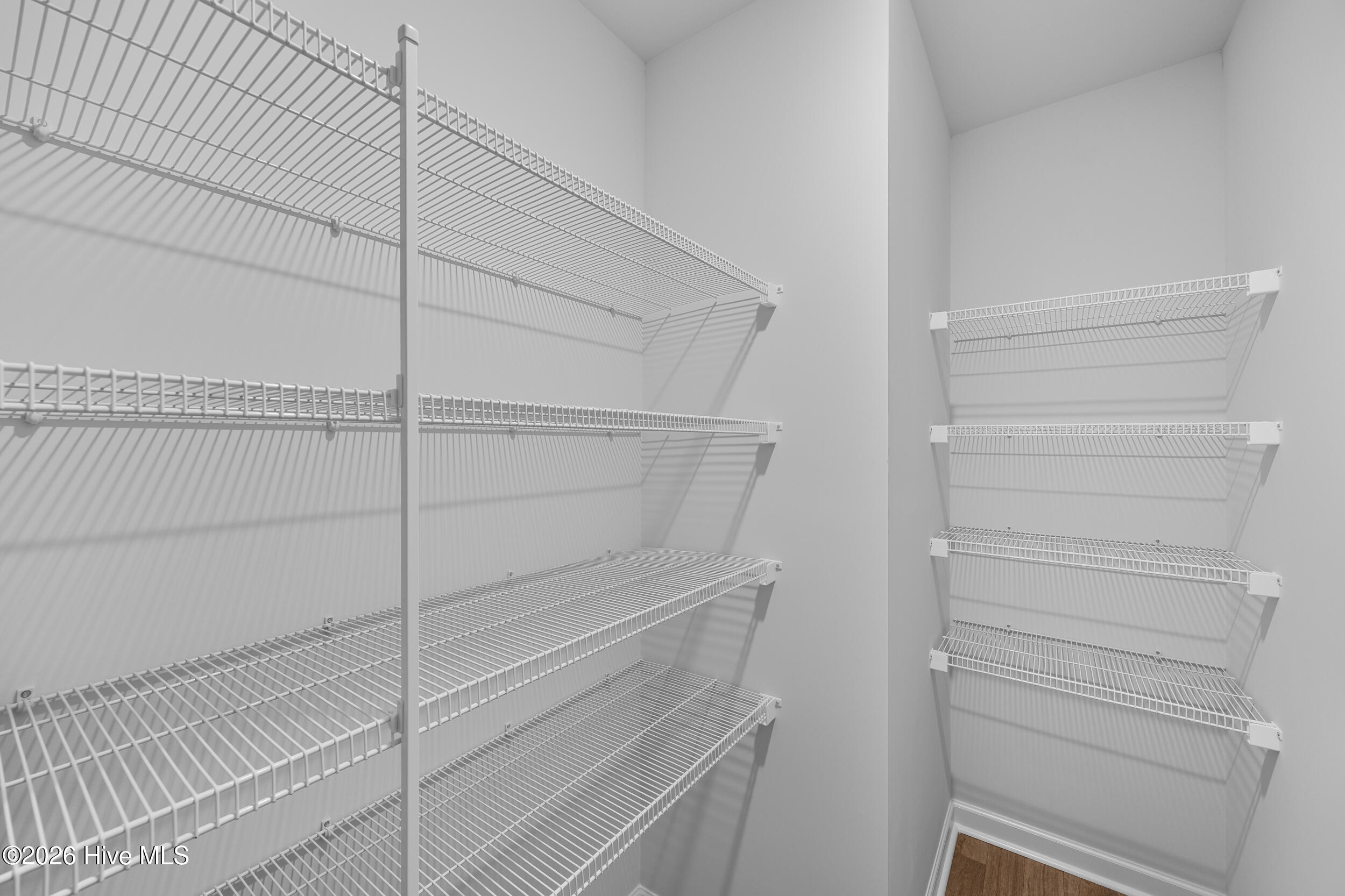 100568116 | Photo 10