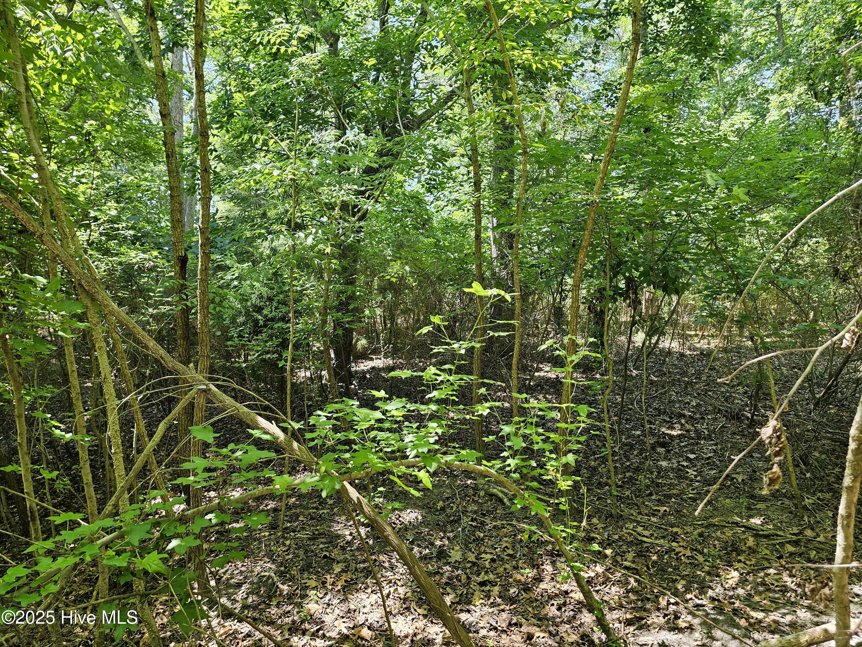 9, 10, 11 Peninsula Shores Way, Hertford, NC, 27944