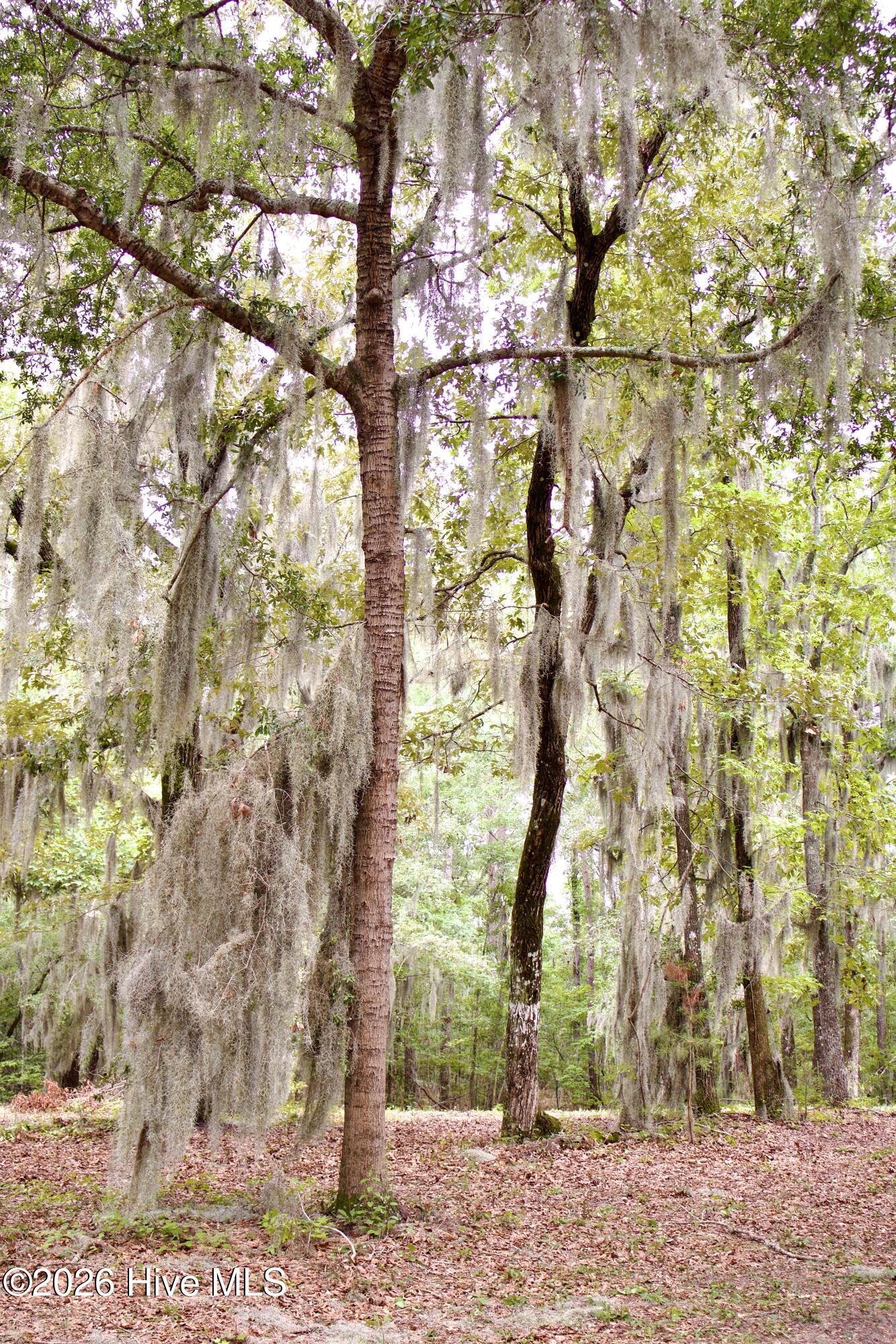 385 Sand Ridge Road,New Bern
