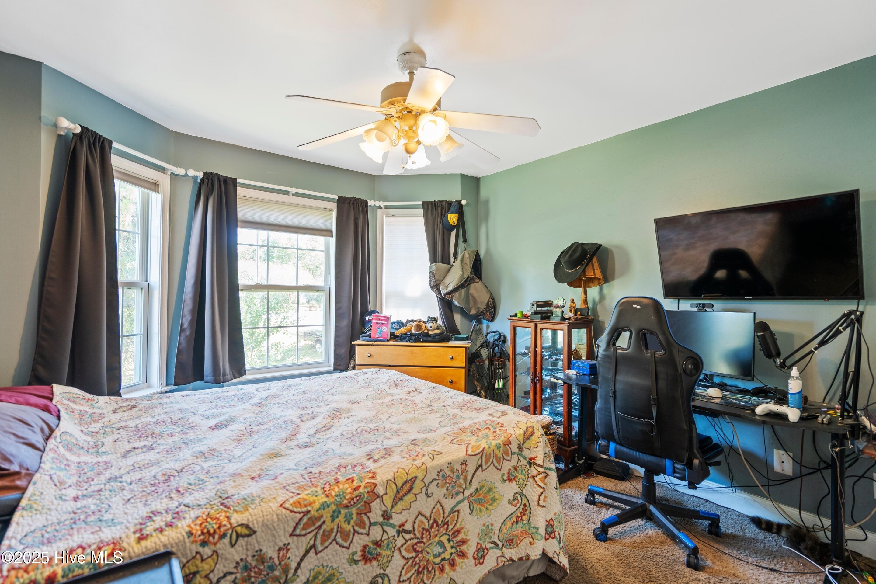 100534371 | Photo 17