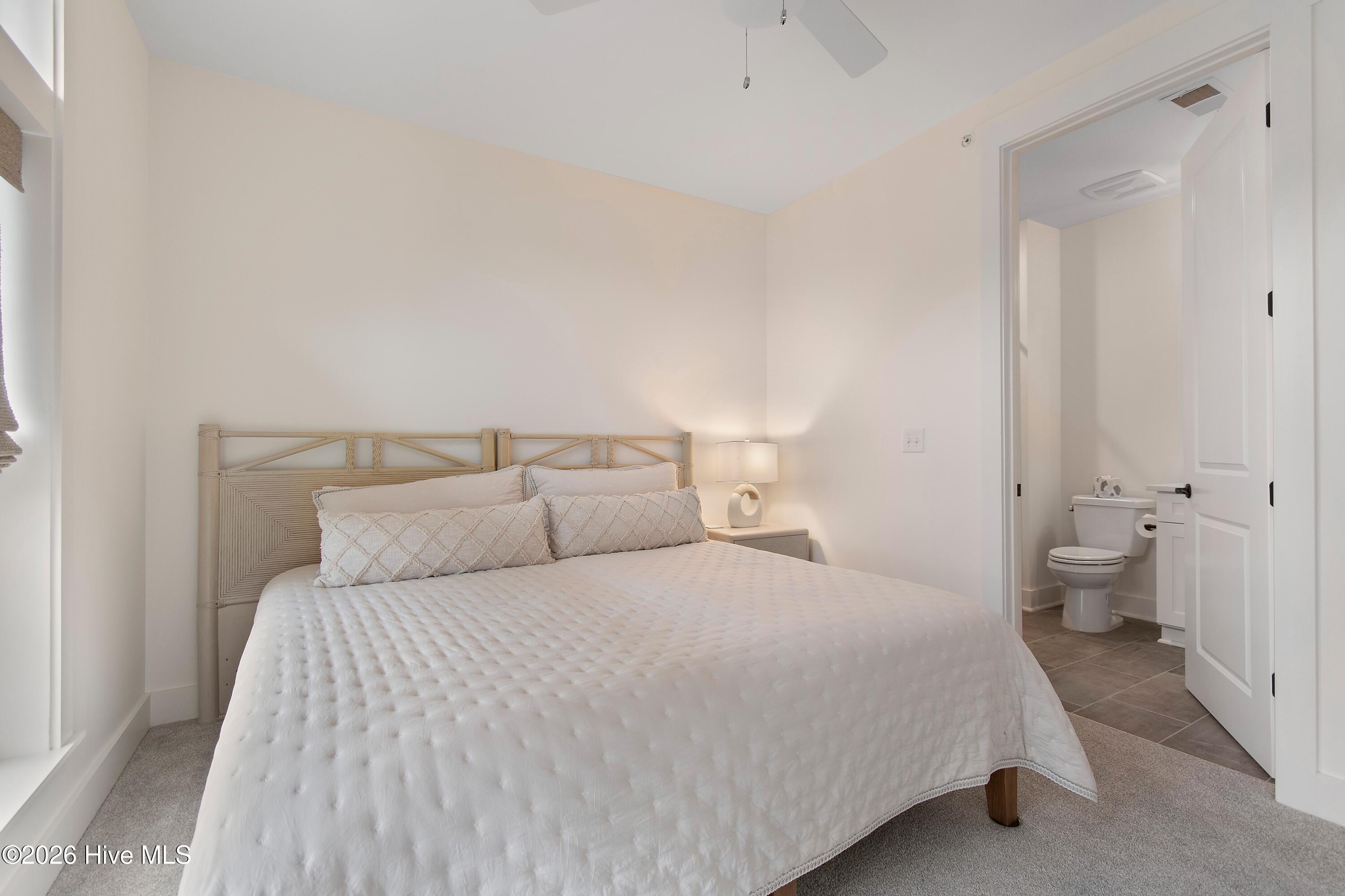 100555931 | Photo 26