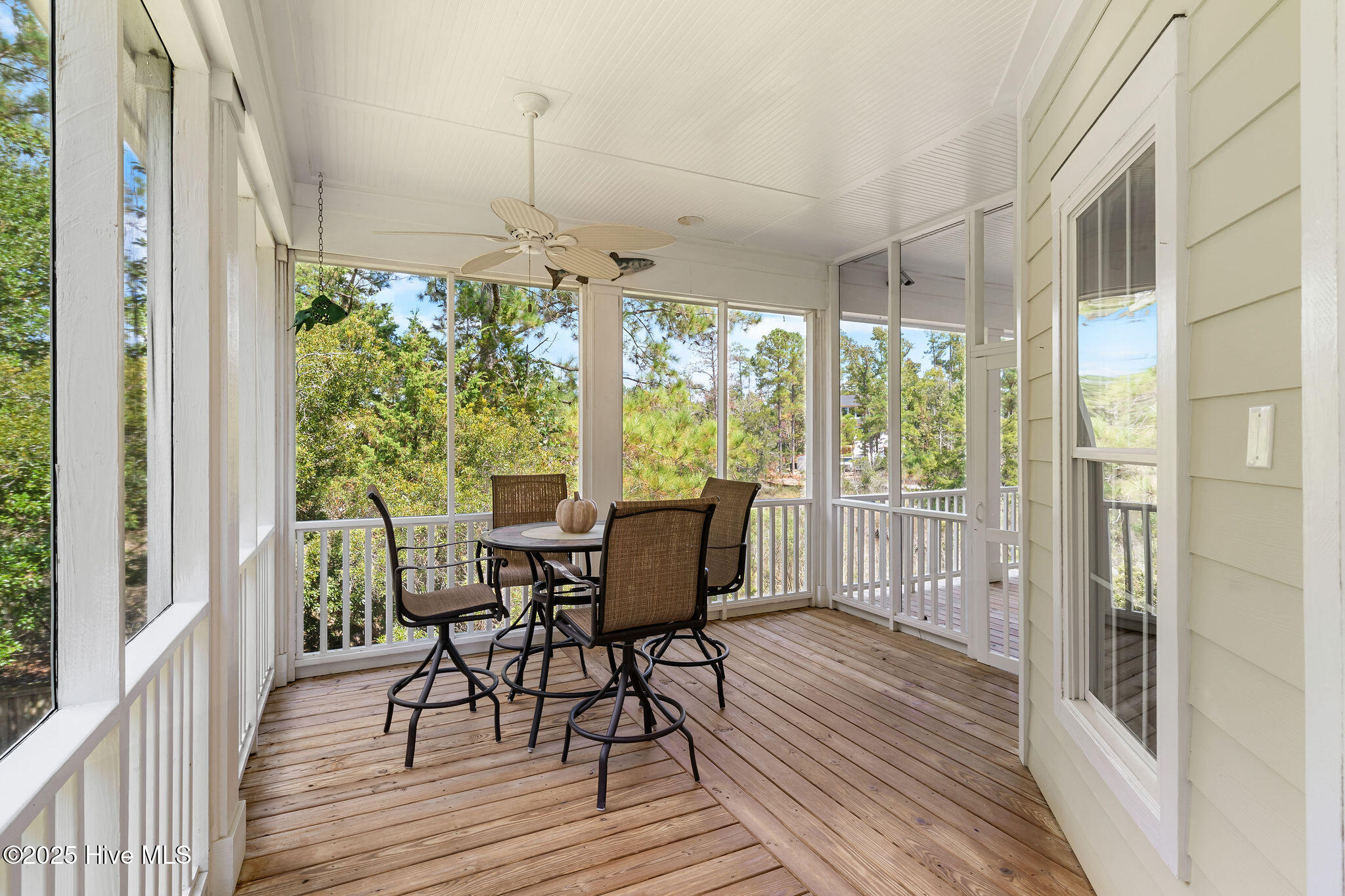 100532416 | Photo 29