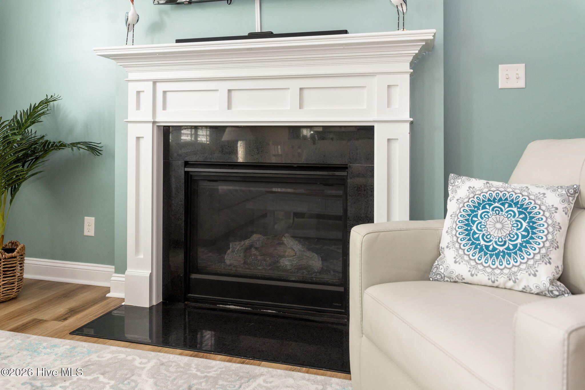 100550807 | Photo 11